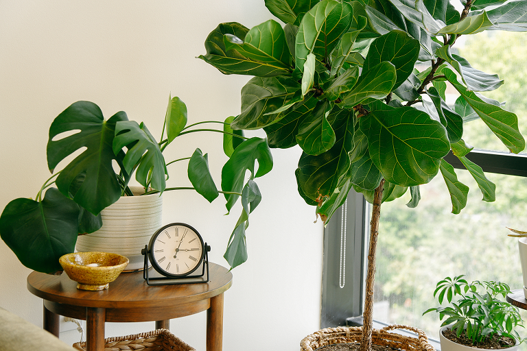 The Future You Desire: Confidence, Respect, and Authenticity