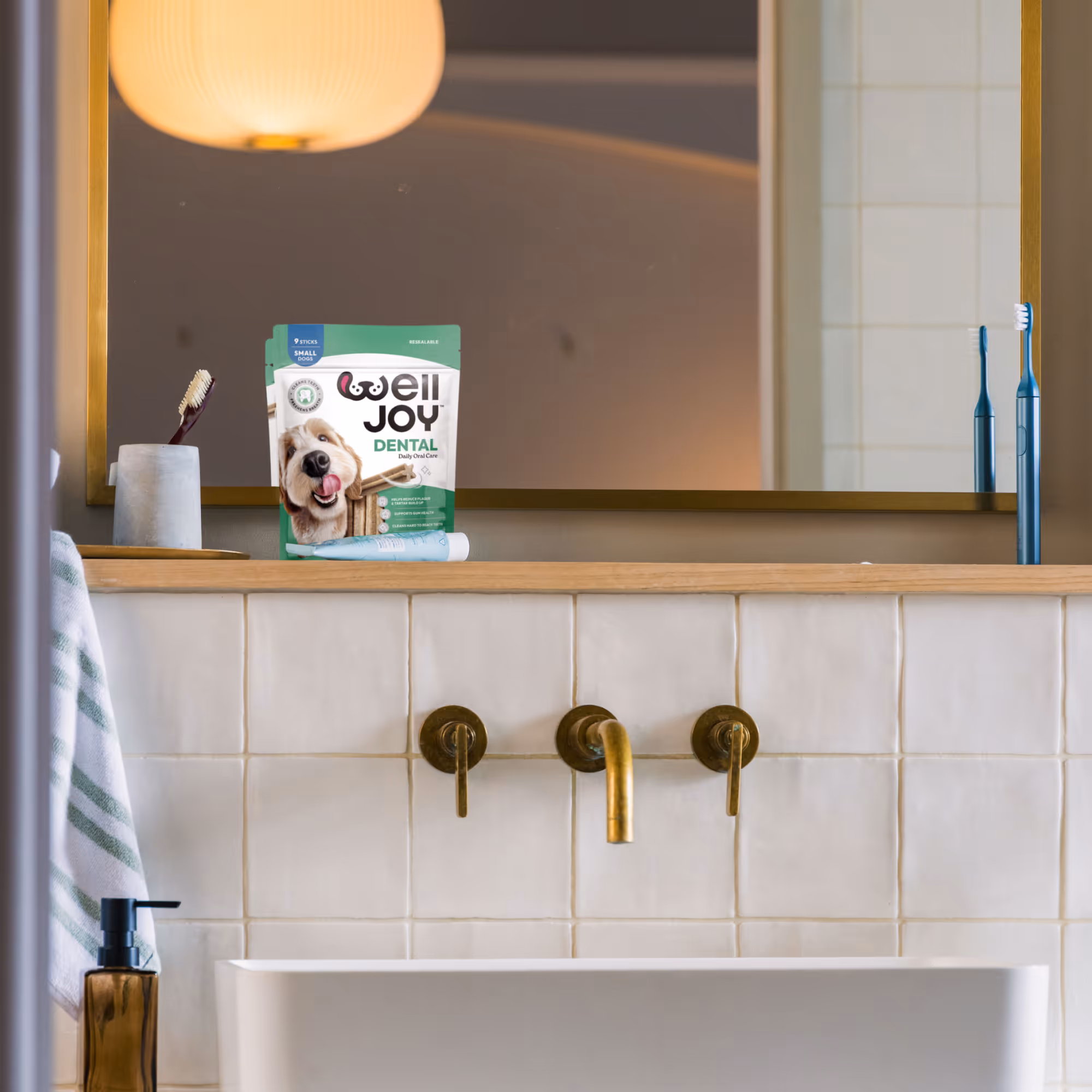 Dog Treats / Dental / Product Slide 08