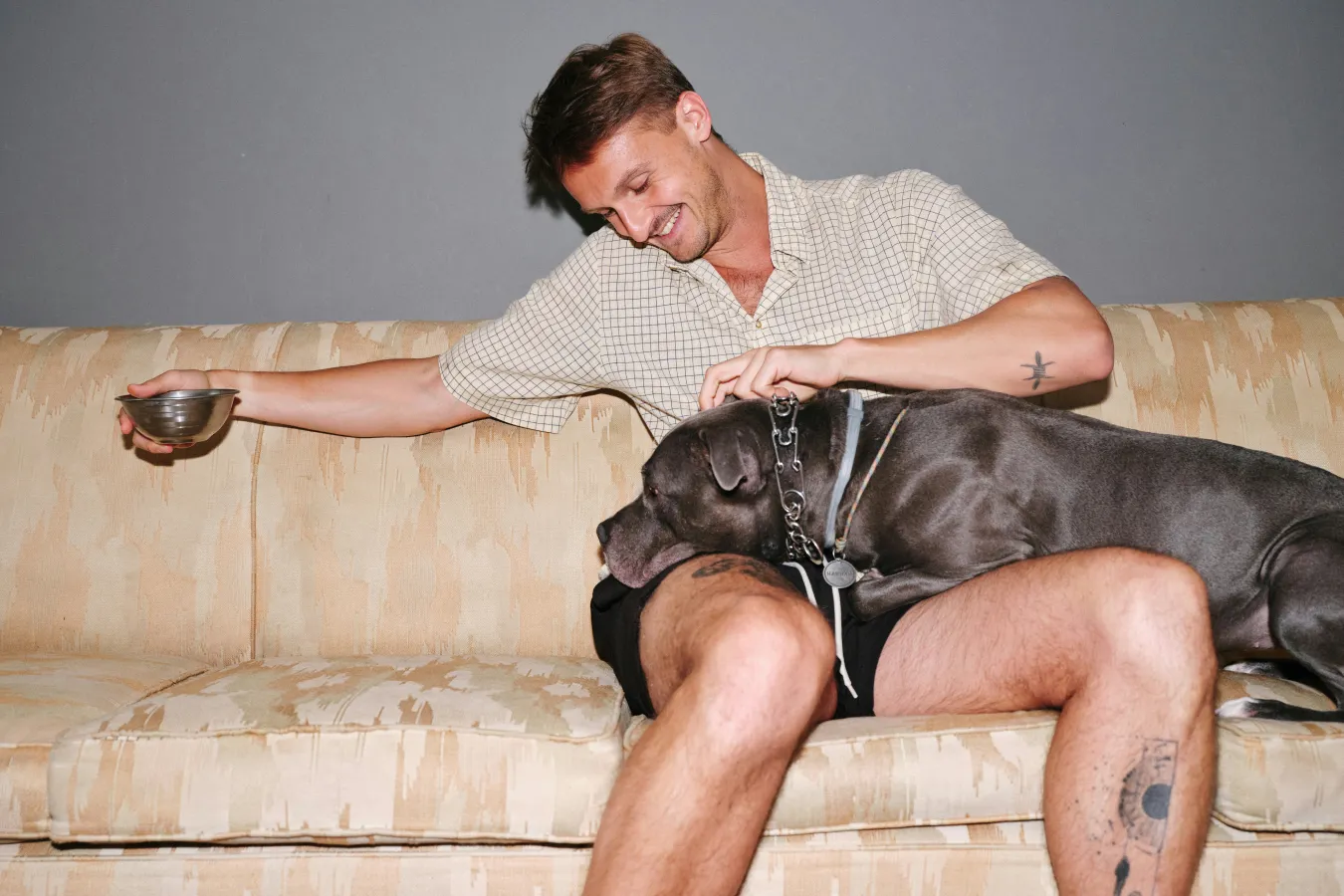 Supporting Dogs During & After Antibiotics