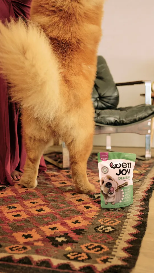 Rosaline and Chin Chin - WellJoy Social Tile