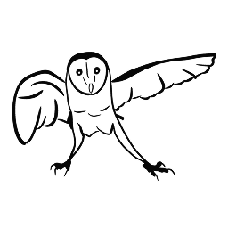 house of energetics owl logo 3