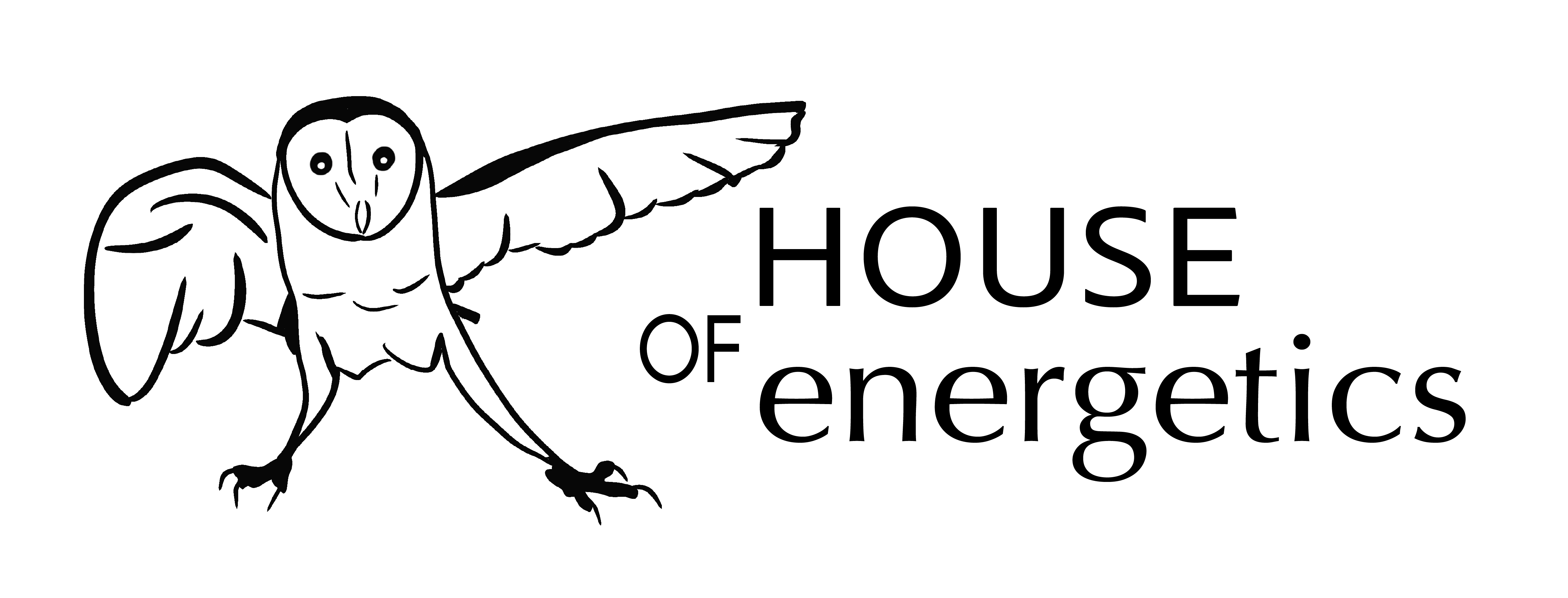 House of energetics barn owl logo
