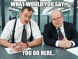 Glad to see The Bobs are working for DOGE now. #thebobs #officespace #doge