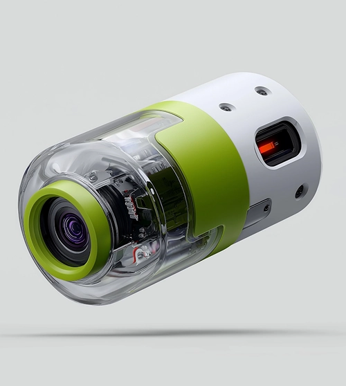 sevice-Web-development