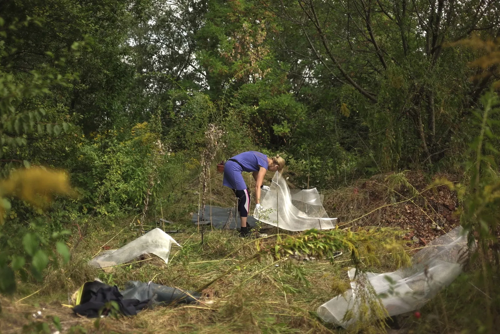 Žena v modrom oblečení manipuluje s bielou sieťkou v zelenej lesnej oblasti s vysokou trávou a rastlinami okolo.