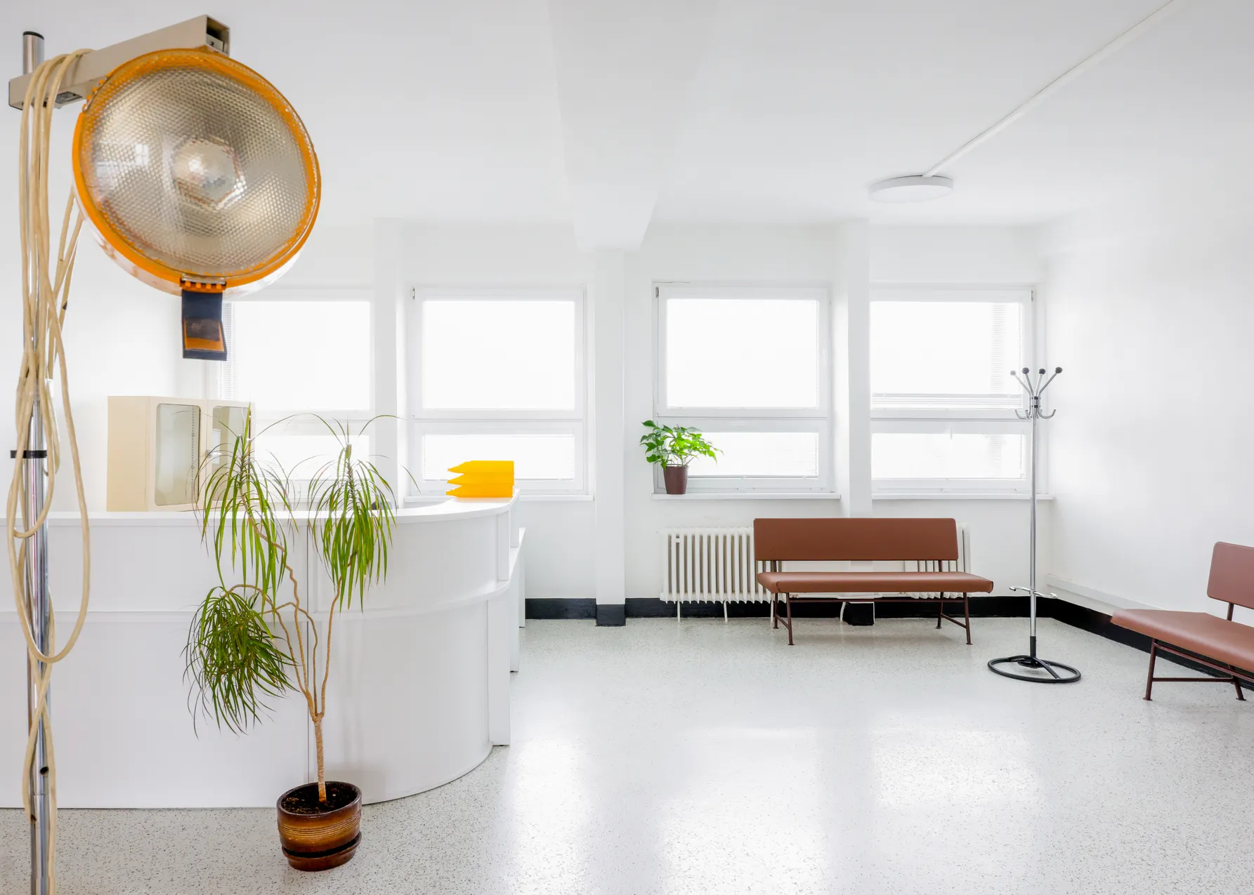 Svetlá čakáreň s bielymi stenami, hnedej lavice, recepčným pultom, zelenými izbovými rastlinami a veľkým stojačim lekárskym svetlom.