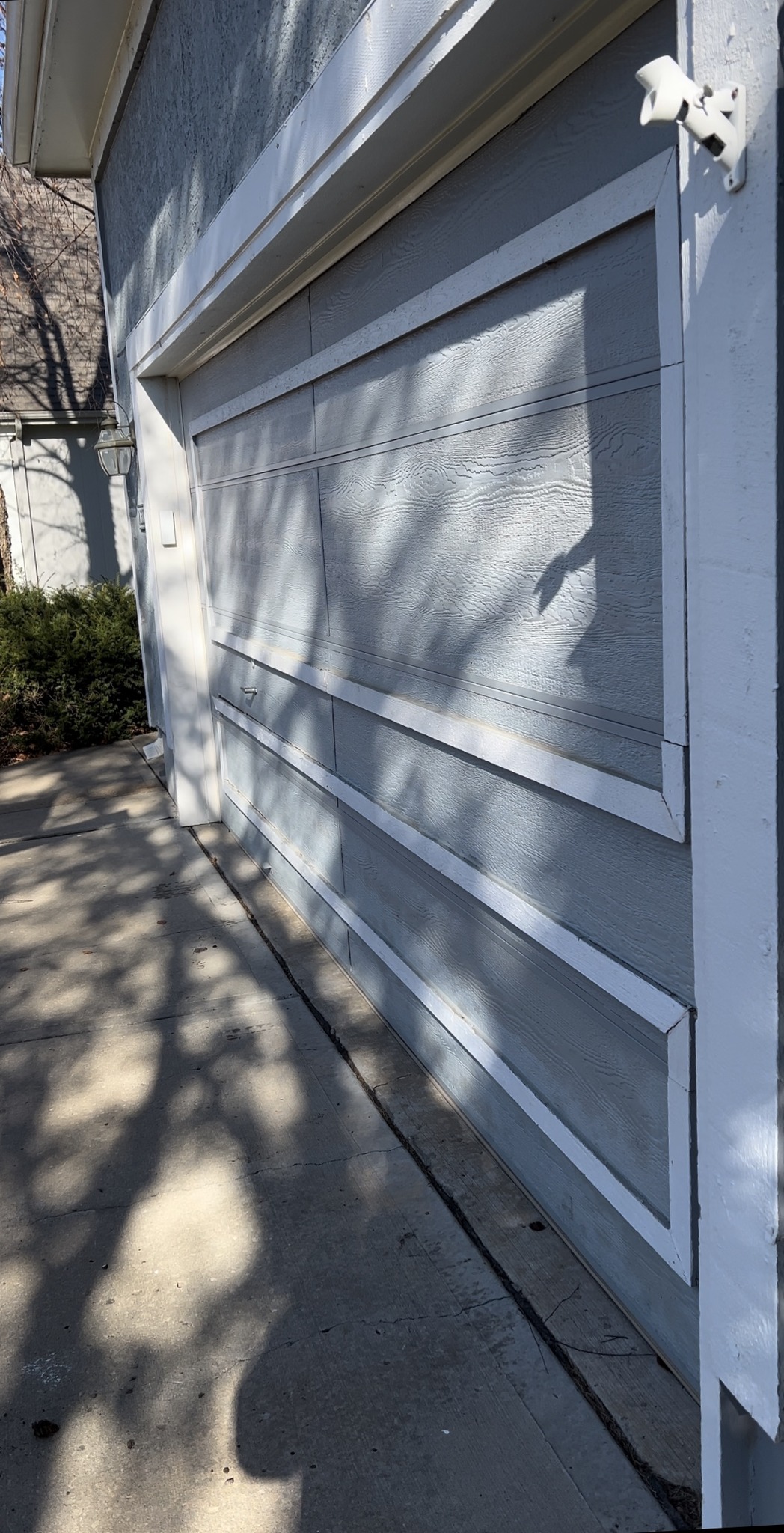 Blue garage door with white trim casting tree shadows on a concrete driveway.