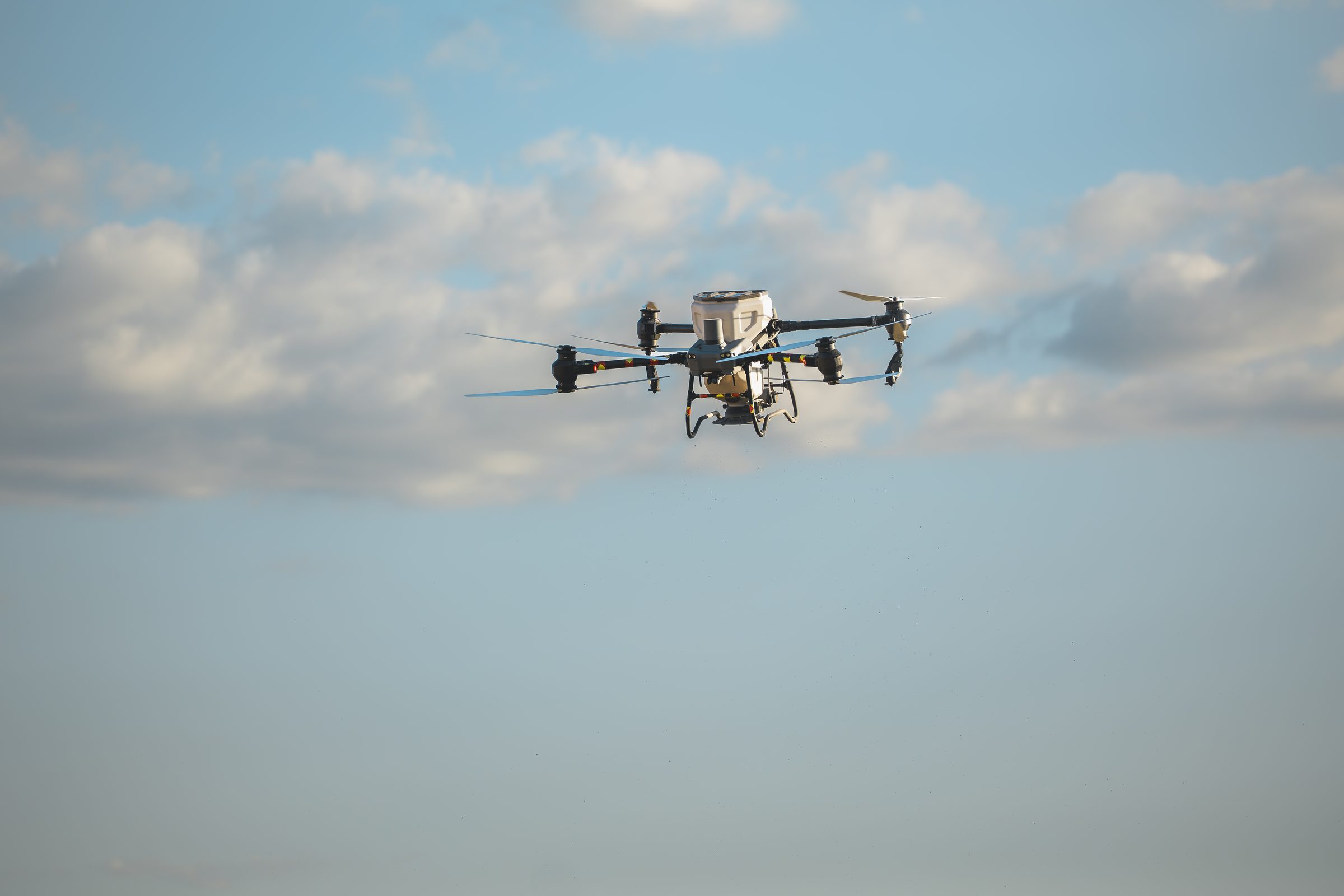 Drone agricole pulvérisant des cultures vertes en rangées régulières.
