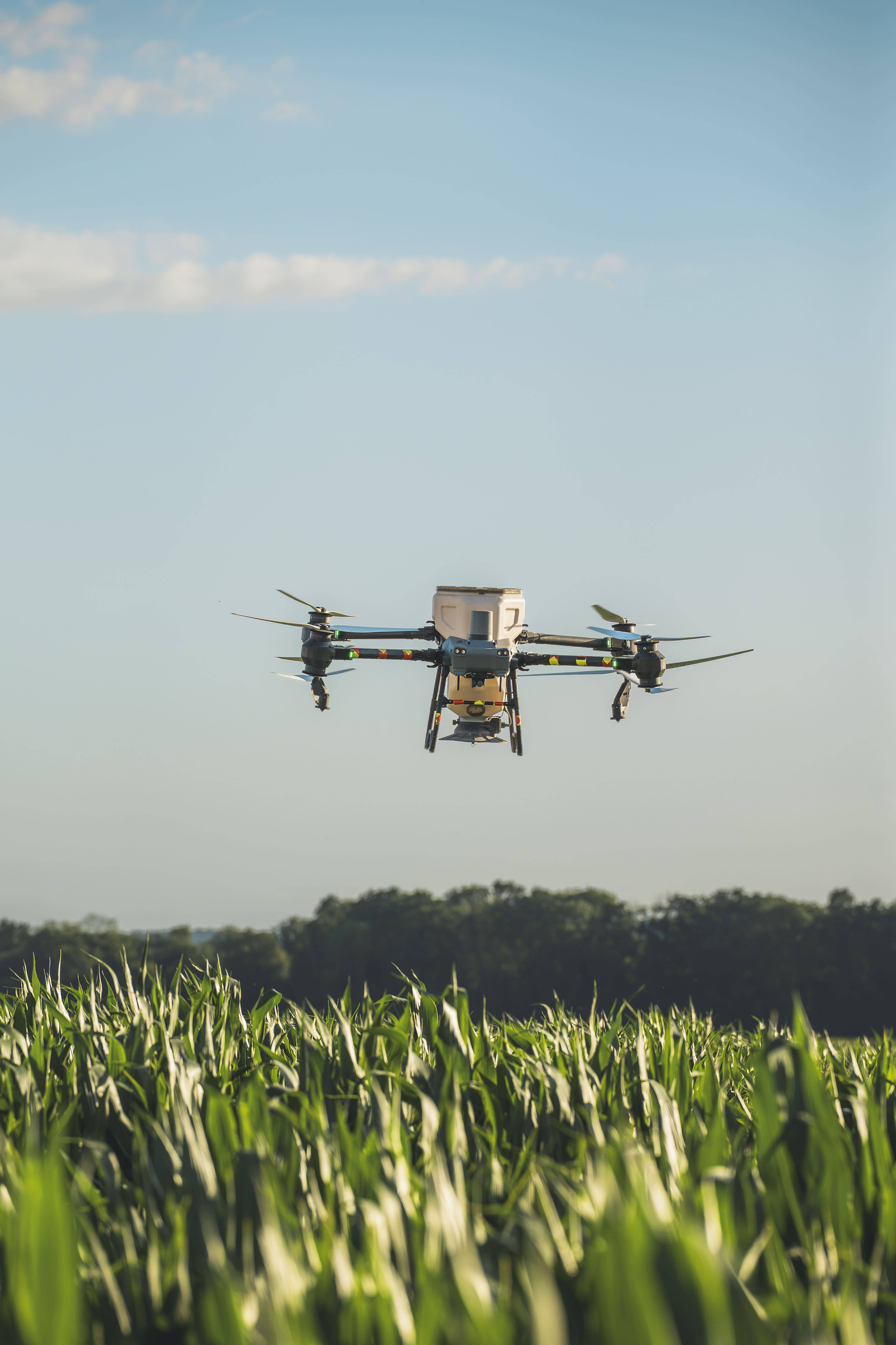 Drone agricole volant au-dessus d'un champ de maïs en train de pulvériser des cultures au lever du soleil avec des montagnes en arrière-plan.