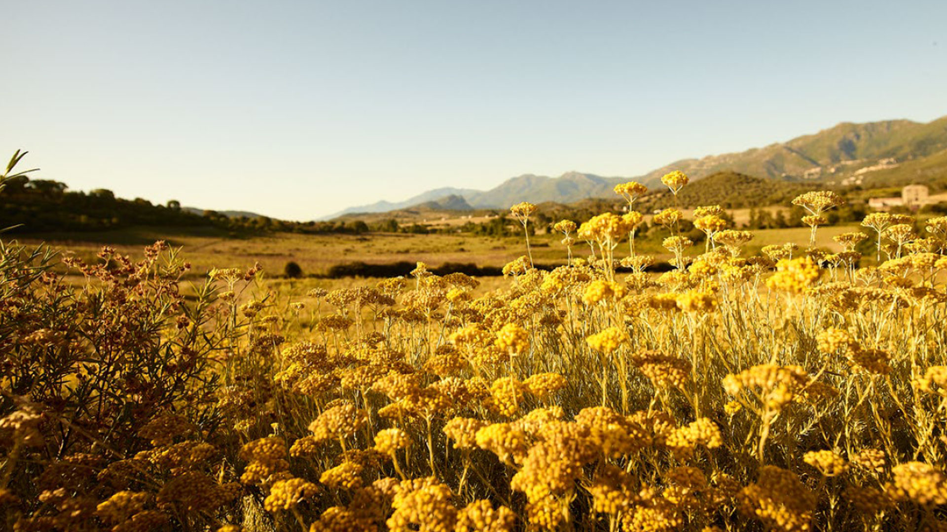 Comprehensive editorial brochure for L'Occitane Group's Biodiversity Strategy (2nd edition, 2024), detailing nature-positive commitments, regenerative agriculture targets and brand highlights across 90 countries.