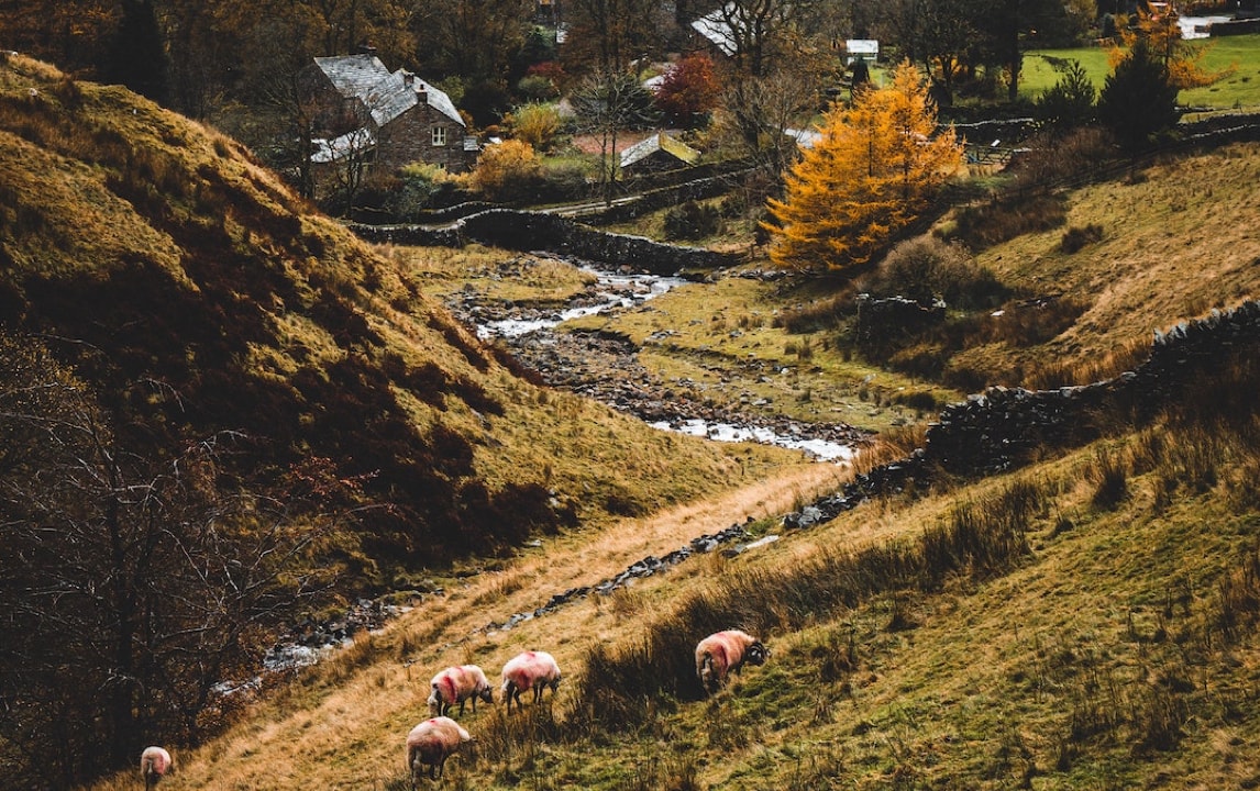 Rural hillside landscape with sheep grazing on grassy slopes, a winding stream below, and stone cottages surrounded by autumn-colored trees.