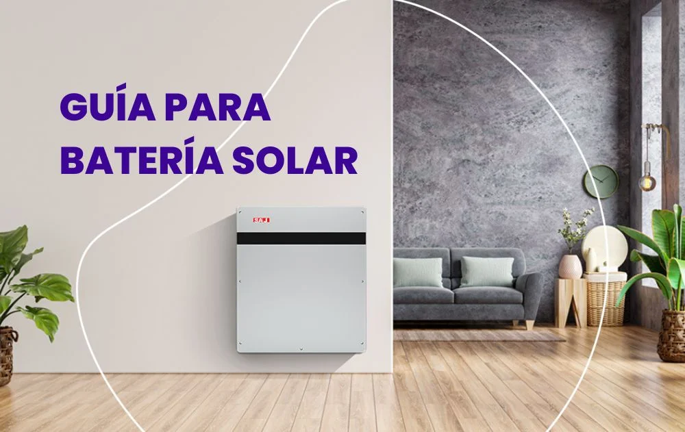 GUÍA PARA BATERÍA