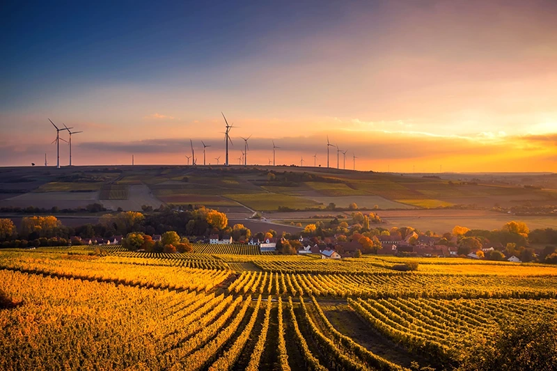 Diferència entre energia neta i energia renovable