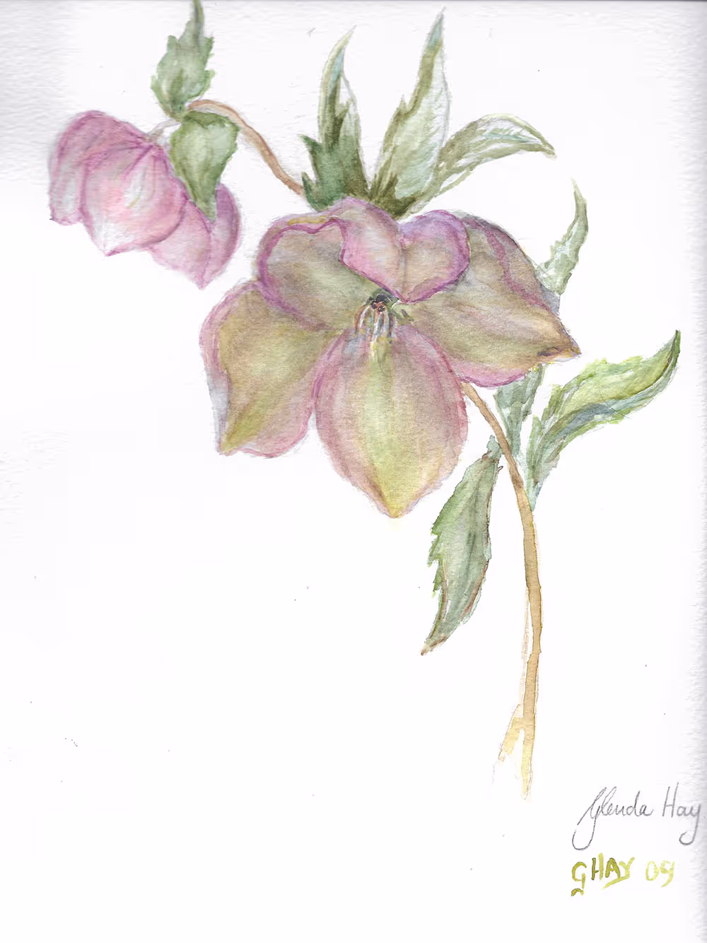 Watercolor painting of a purple and green flower with leaves on a white background.