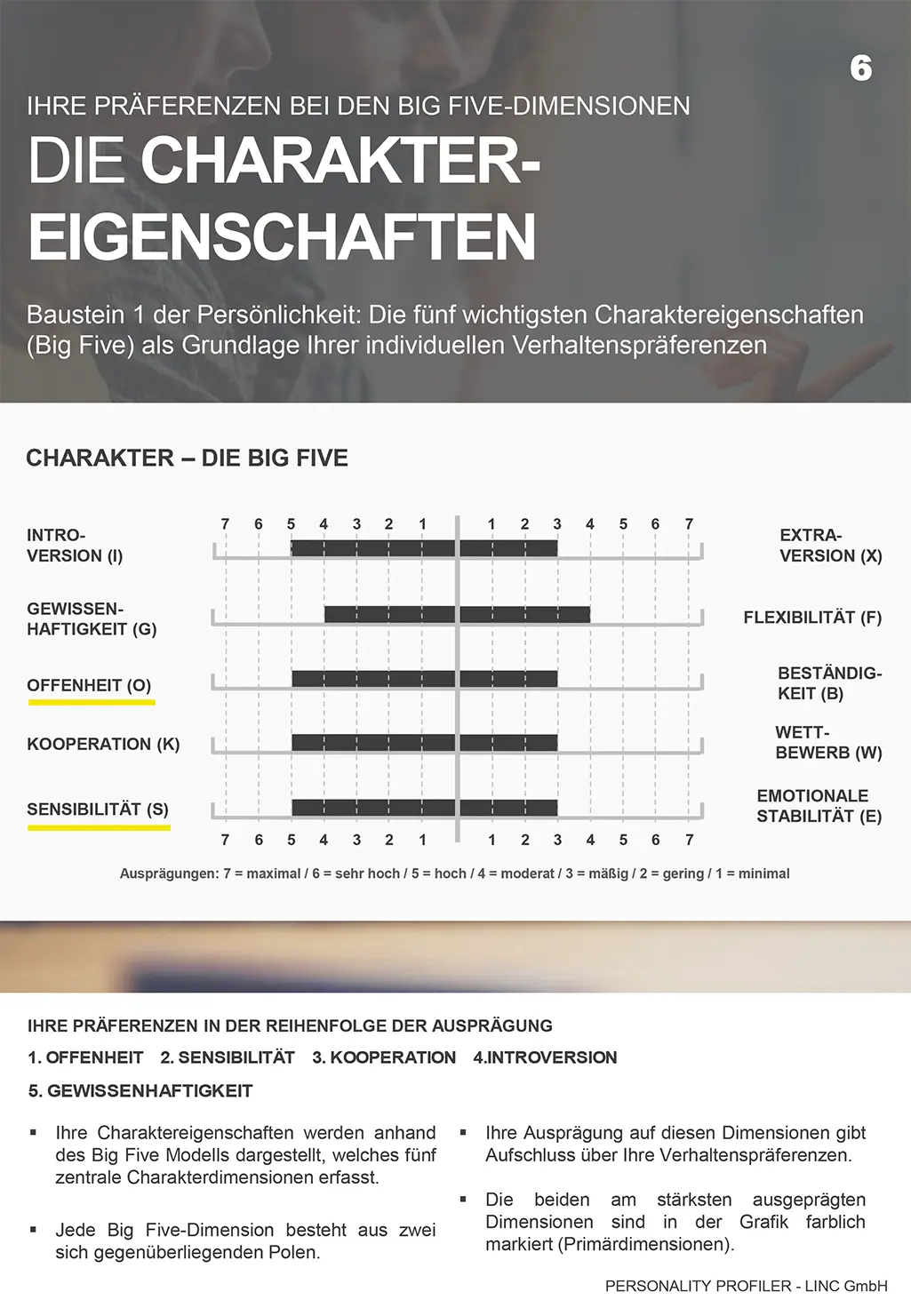 Detaillierte Übersicht der Big-Five-Facetten mit grafischen Balkendiagrammen, unter anderem zu Fantasie, Ordnungsorientierung, Dominanz, Disziplinorientierung und Innovationsorientierung.
