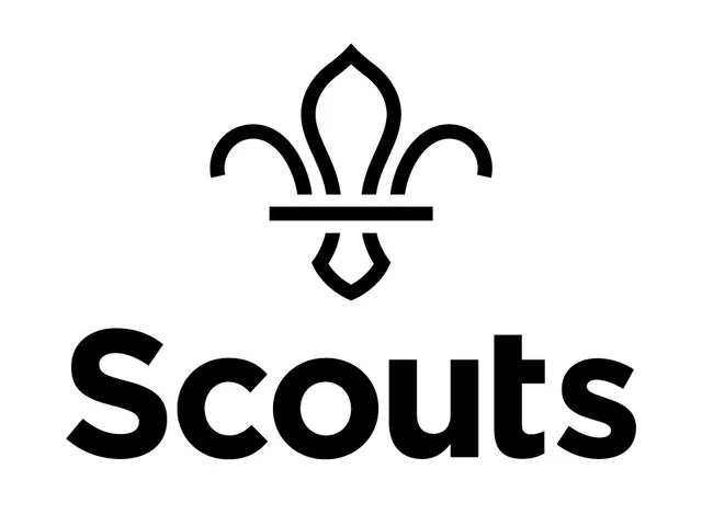 Black Scouts fleur-de-lis emblem above the word 'Scouts' in bold black letters on a white background.