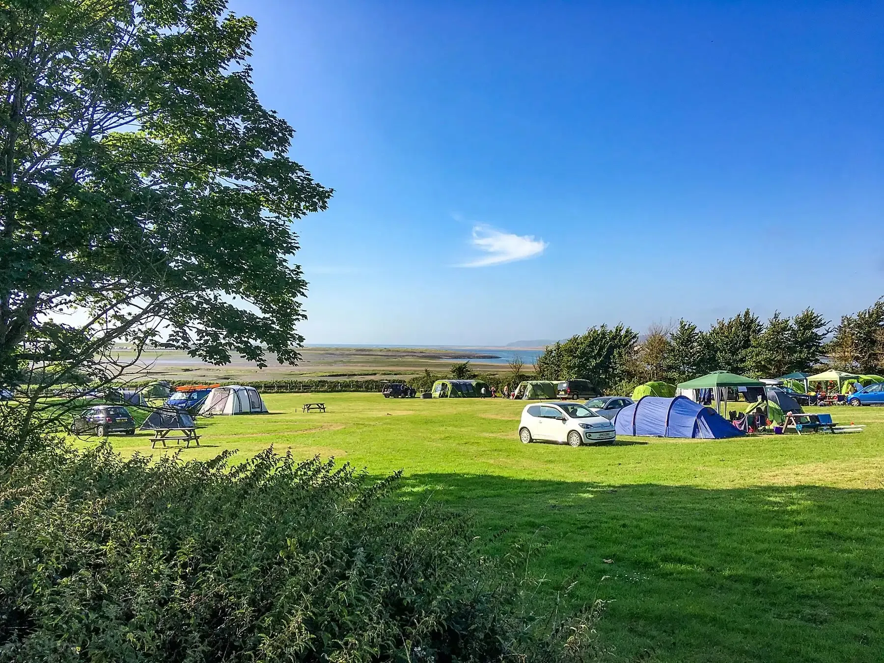 Green grassy campsite with tents, cars, picnic tables, trees, and a coastal view under a blue sky.