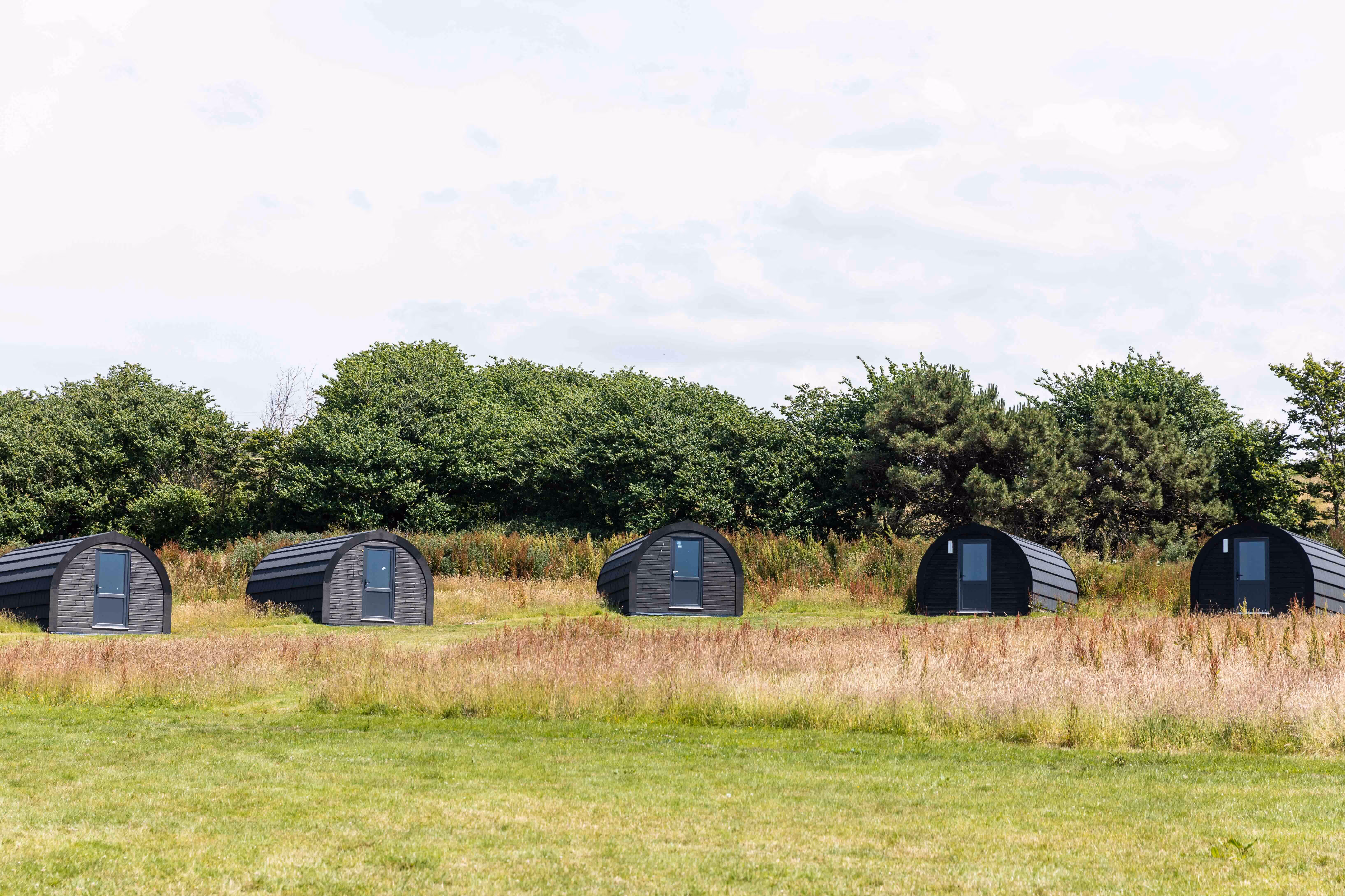 Row of five black wooden camping pods on grassy field with trees in the background.