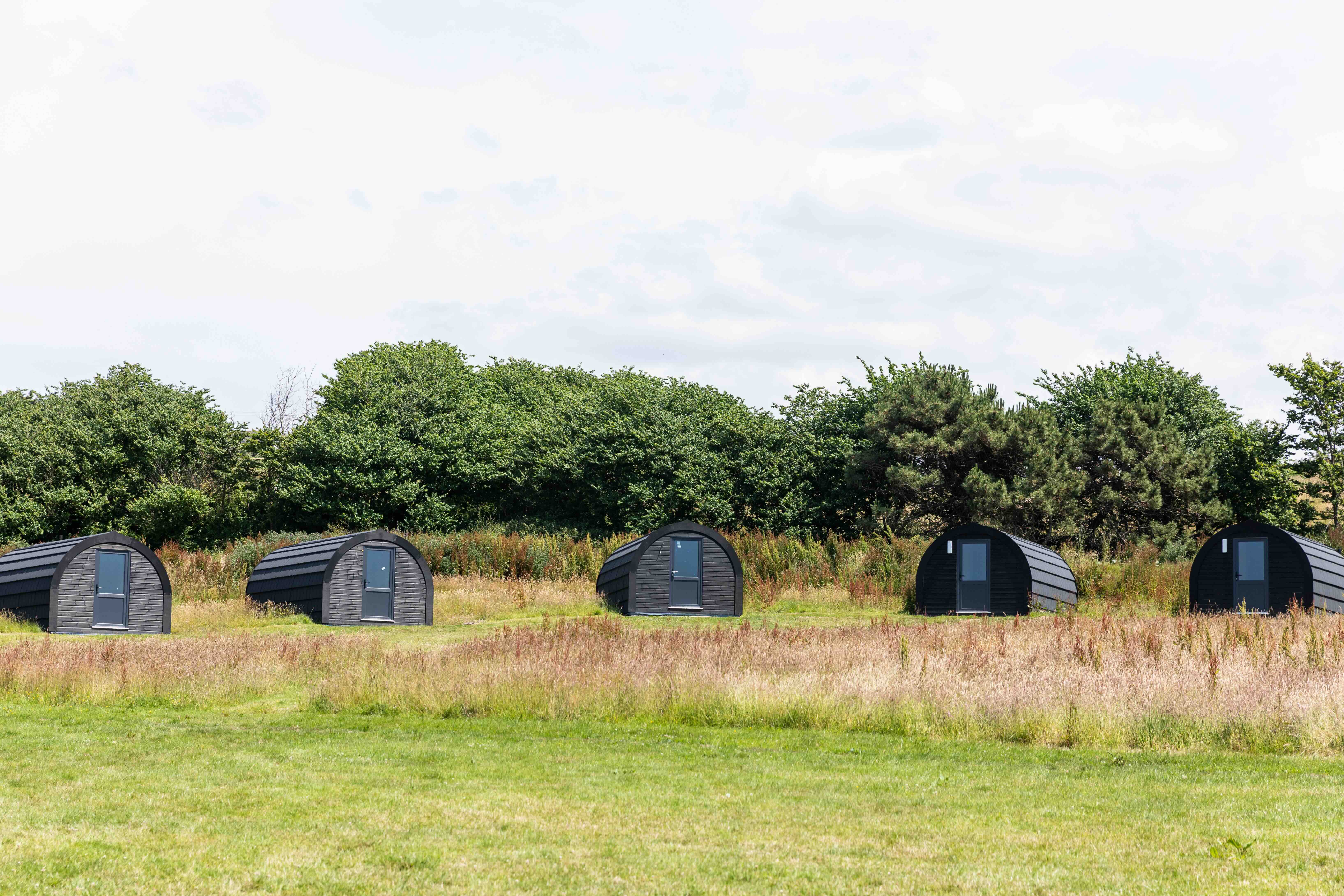 Row of five black wooden camping pods on grassy field with trees in the background.