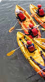 Four people in two yellow kayaks paddling on calm water, seen from above.