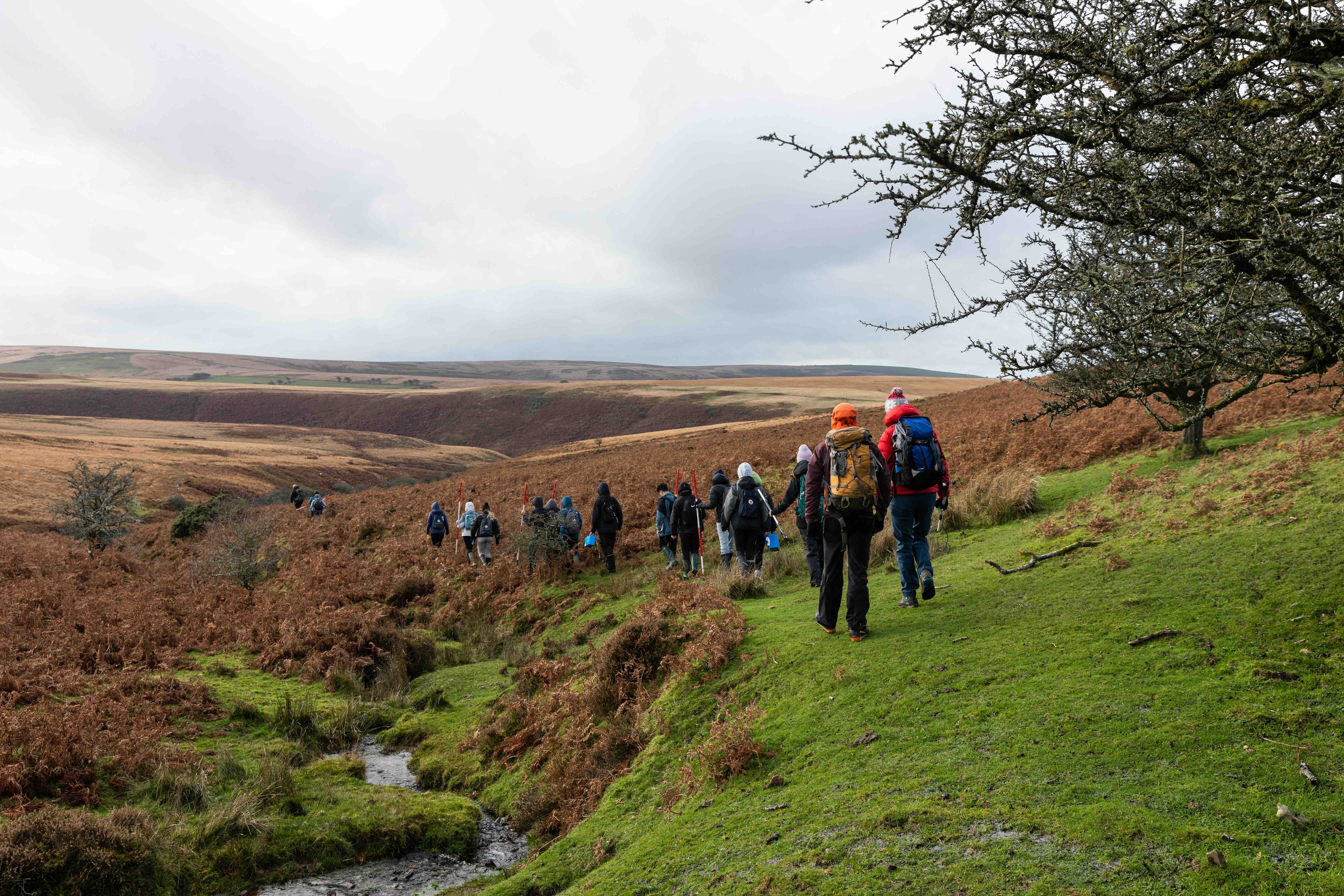 Group of hikers walking along a grassy hillside trail in open moorland with overcast sky.