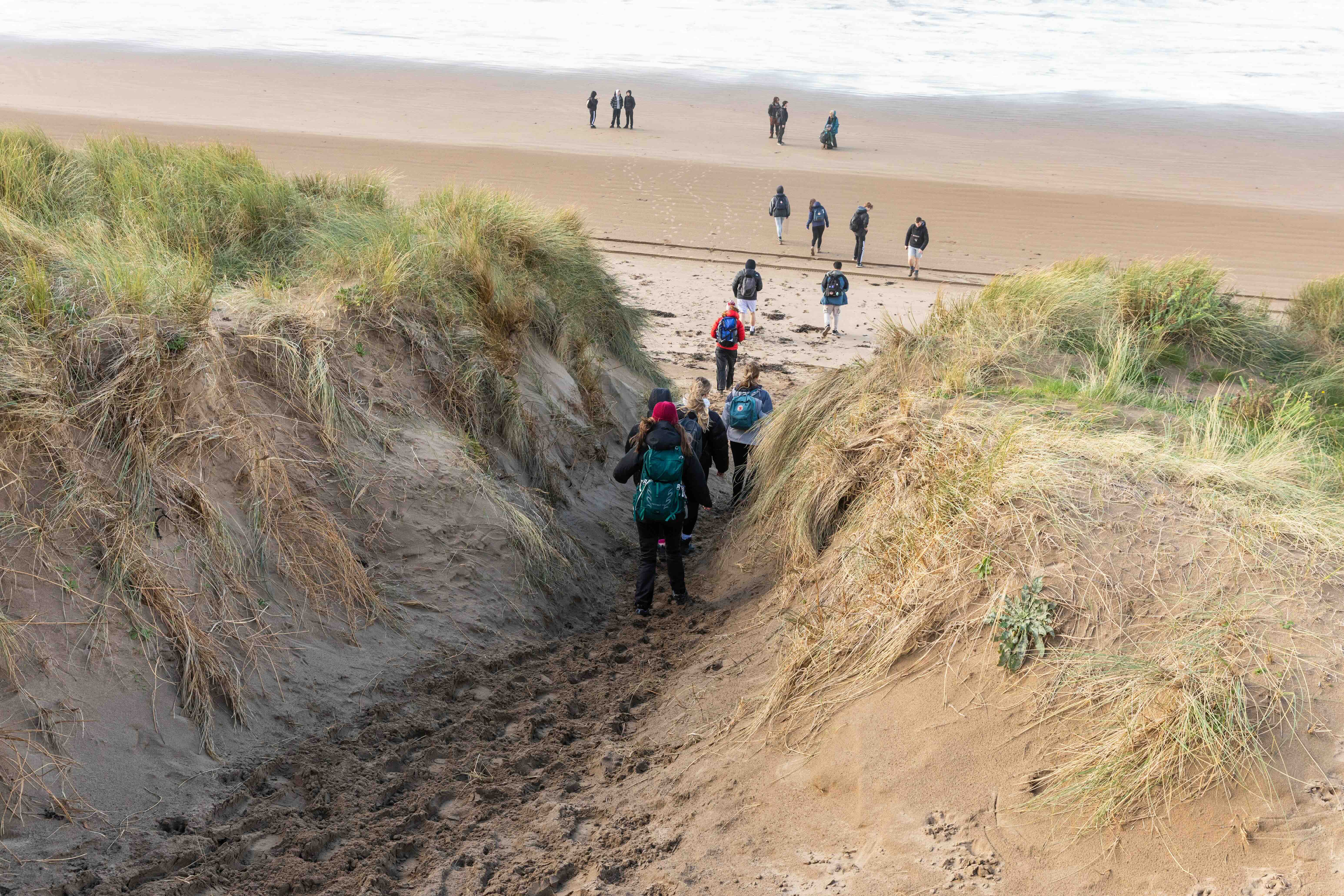 Group of people walking down a sandy path through grassy dunes towards a beach with more people near the water.