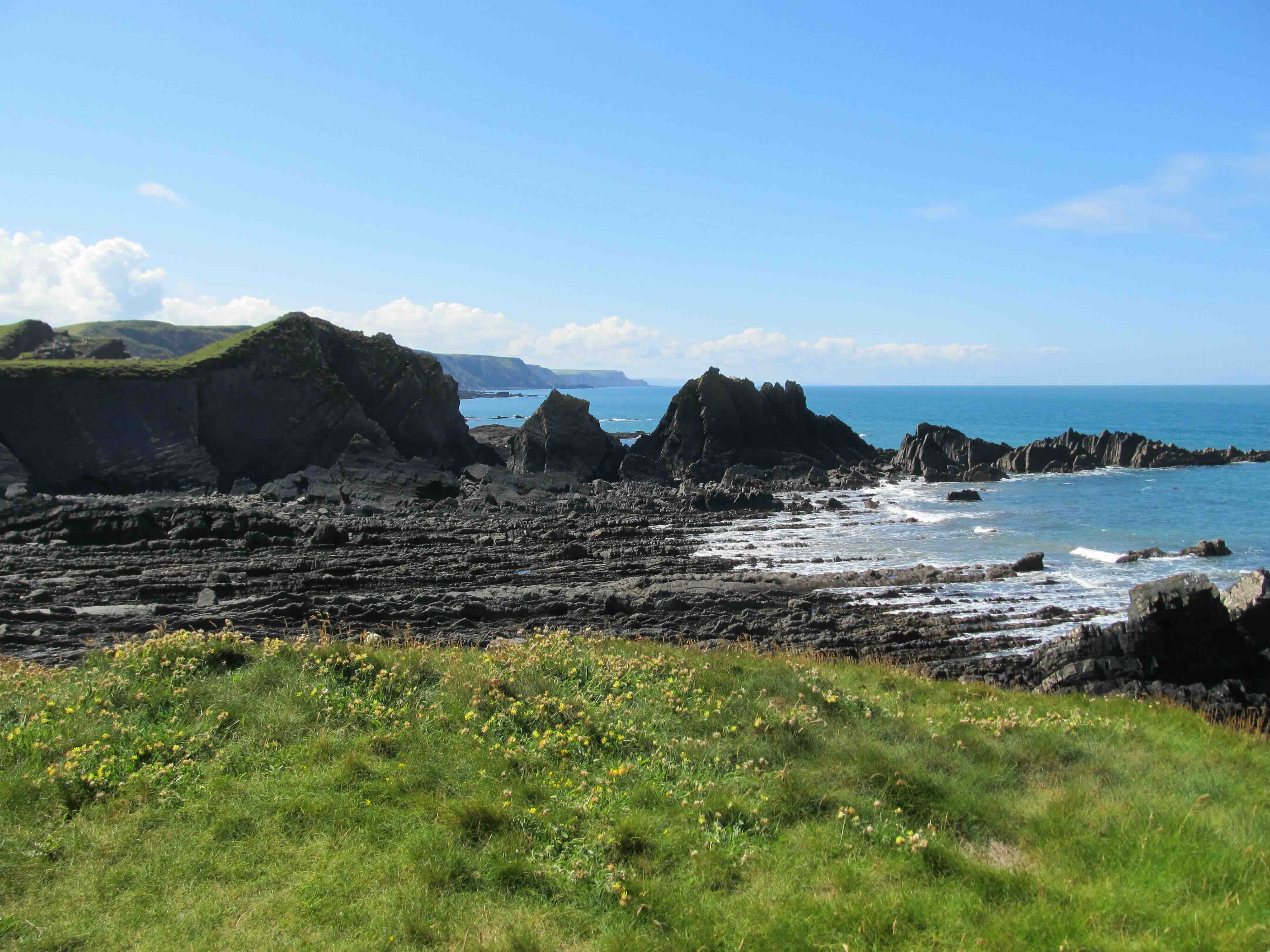 Rocky coastline with jagged cliffs, wild grass, and yellow flowers under a bright blue sky.