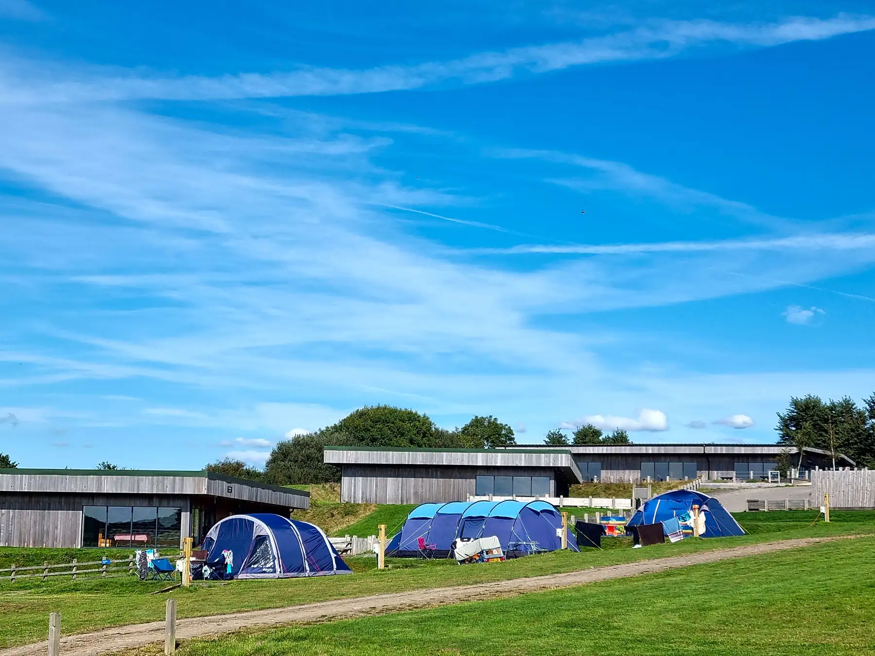 Blue tents pitched on grassy campsite near modern wooden buildings under a blue sky with scattered clouds.