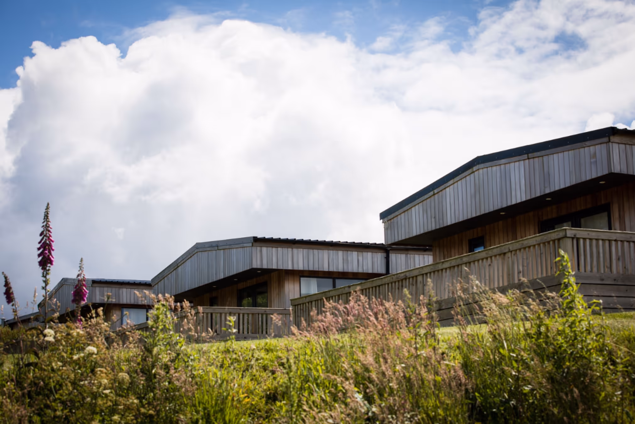 Modern wooden lodges with fenced balconies behind tall grass and wildflowers under a partly cloudy sky.
