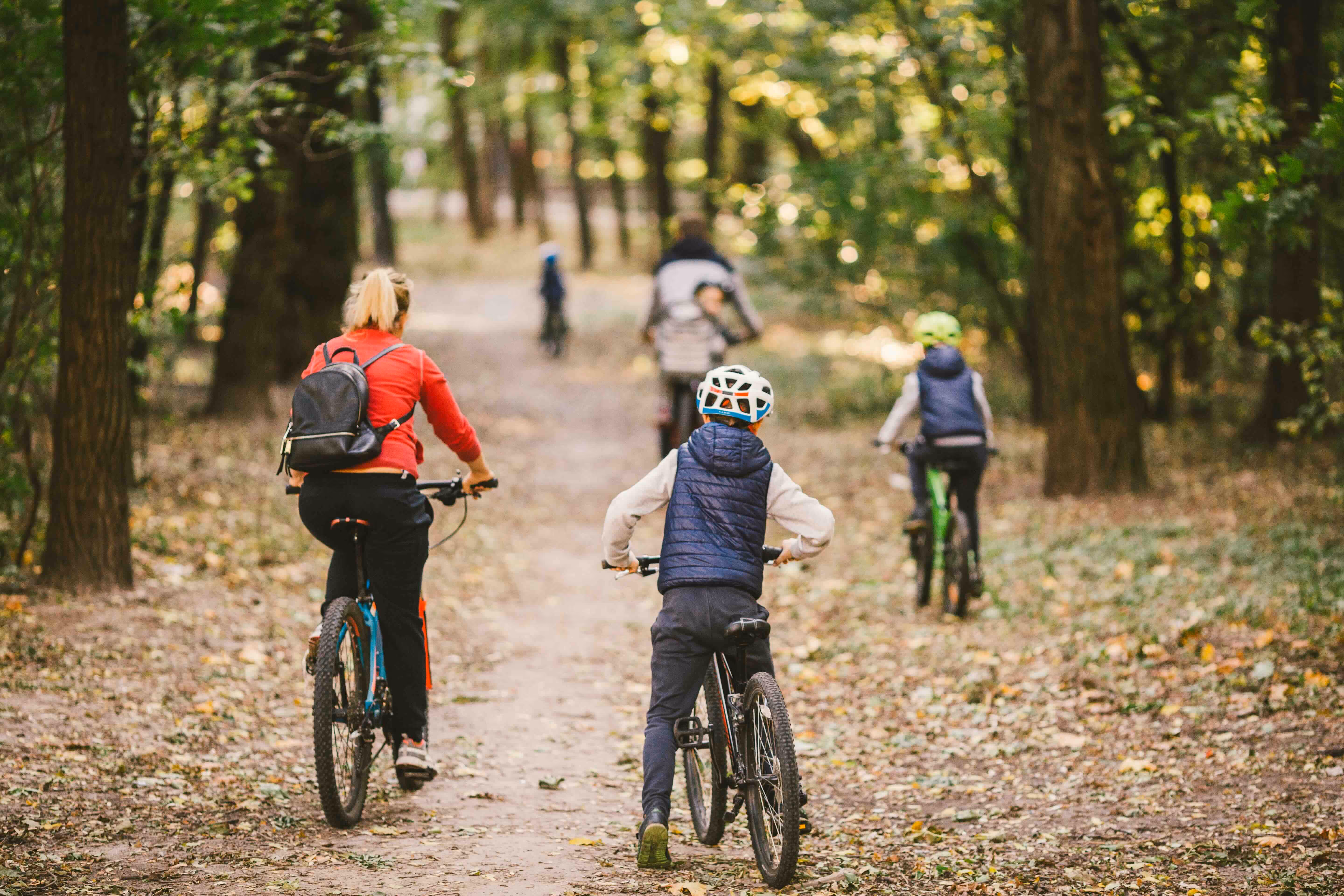 Group of people cycling on a forest trail surrounded by tall trees and fallen leaves.