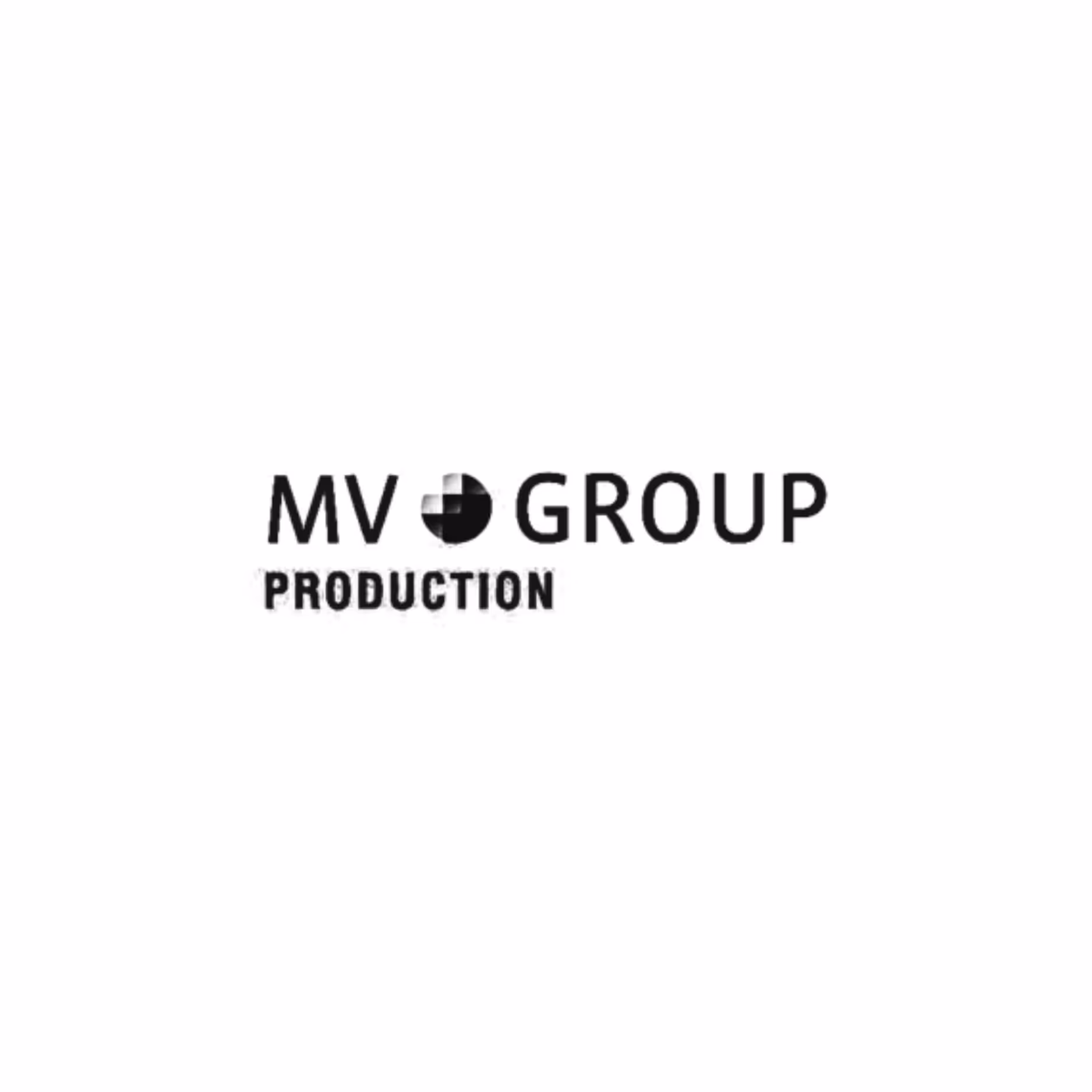 MV GROUP LOGO