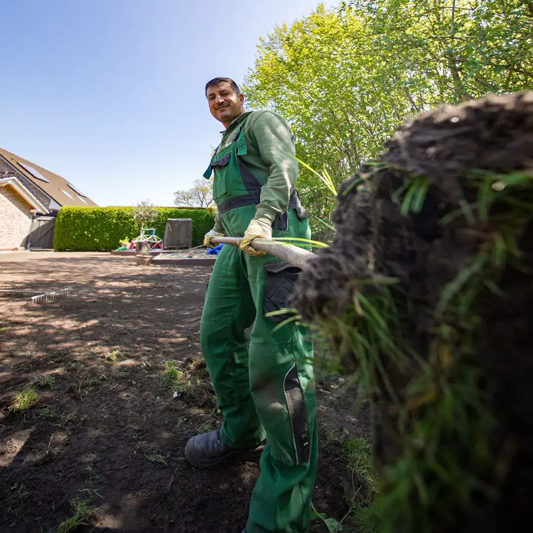 Gärtner in grüner Arbeitskleidung trägt eine frische Grasnarbe mit Wurzeln in einem Garten bei sonnigem Wetter.