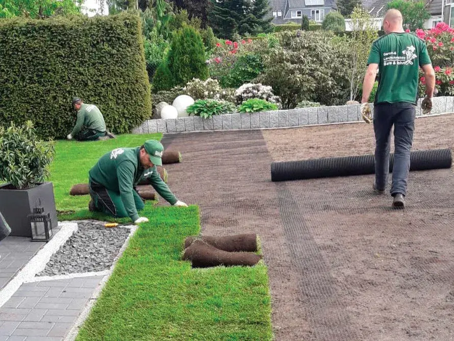 Drei Männer verlegen Rasen in einem Garten mit Hecken und Blumen, einer rollt Rollrasen aus, die anderen legen ihn.
