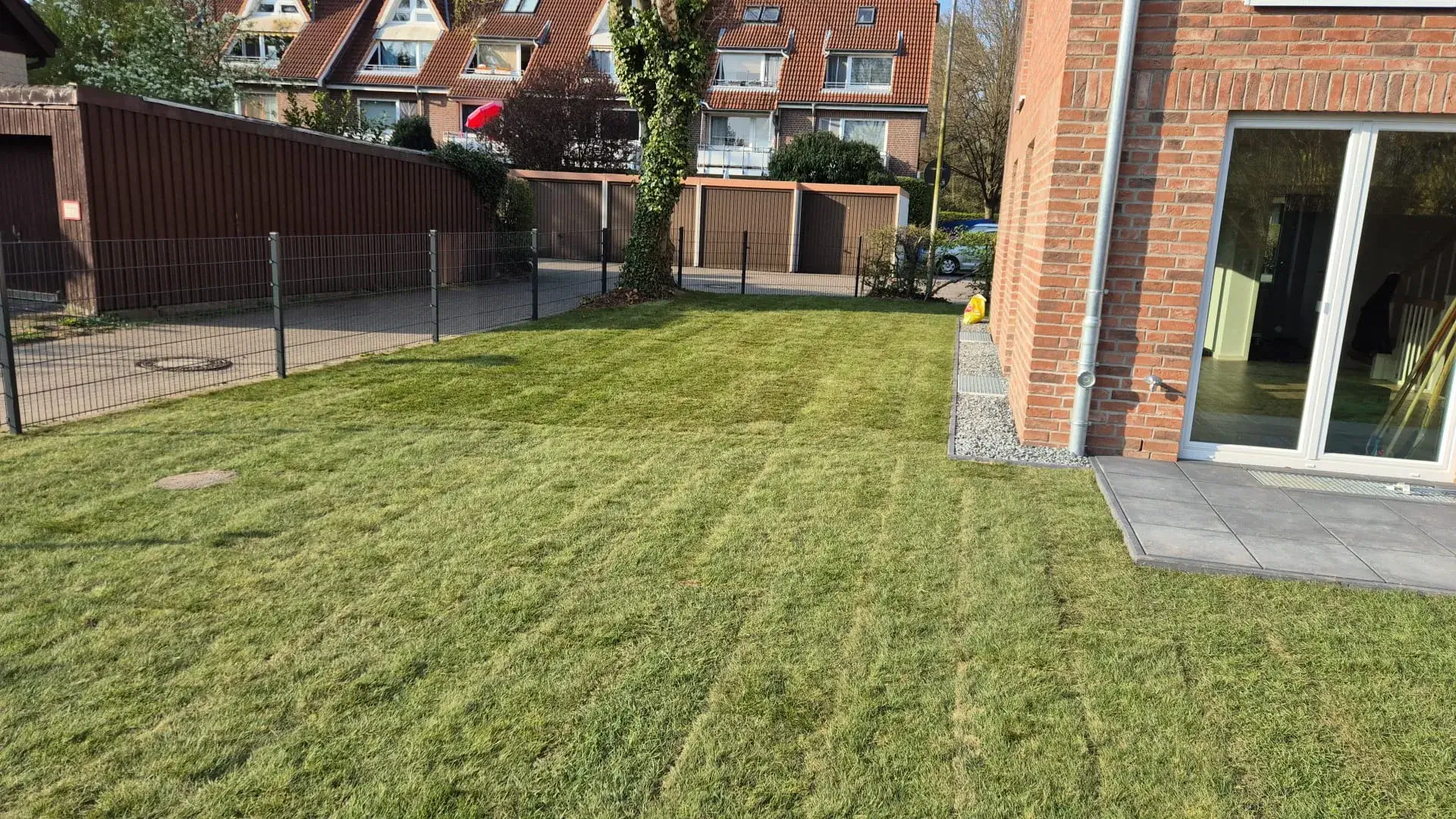 Frisch verlegter Rollrasen auf einer Rasenfläche neben einem modernen Backsteinhaus mit großen Fenstern.