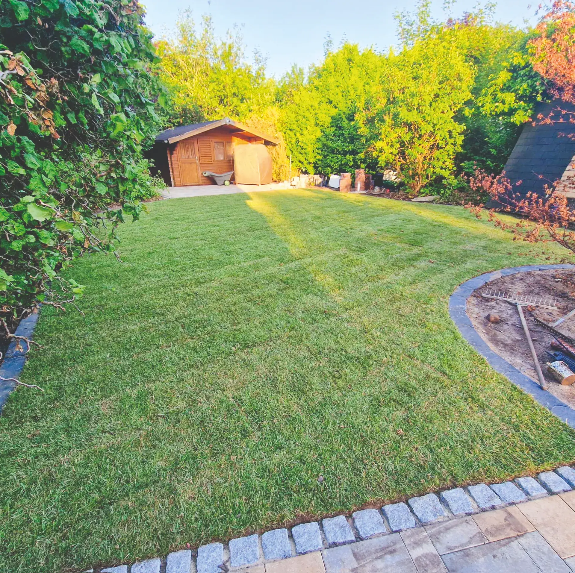 Frisch verlegter, grüner Rollrasen in einem Garten mit kleinem Holzhaus und Bäumen im Hintergrund.