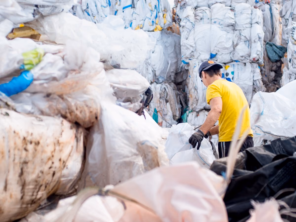 Worker in a yellow shirt and black cap handling large white plastic bags in a recycling facility.