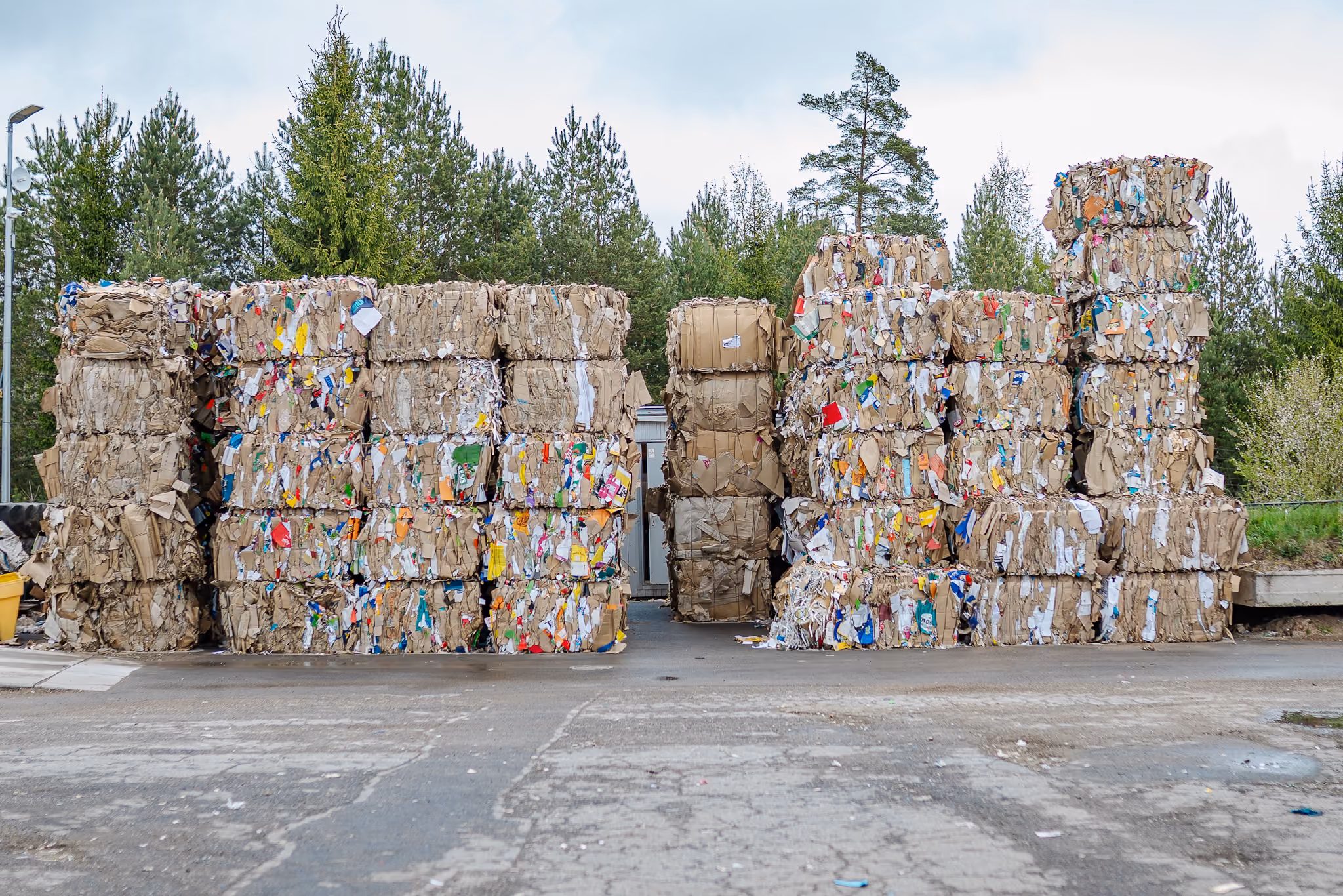 Stacks of compressed cardboard bales outdoors near trees under a cloudy sky.