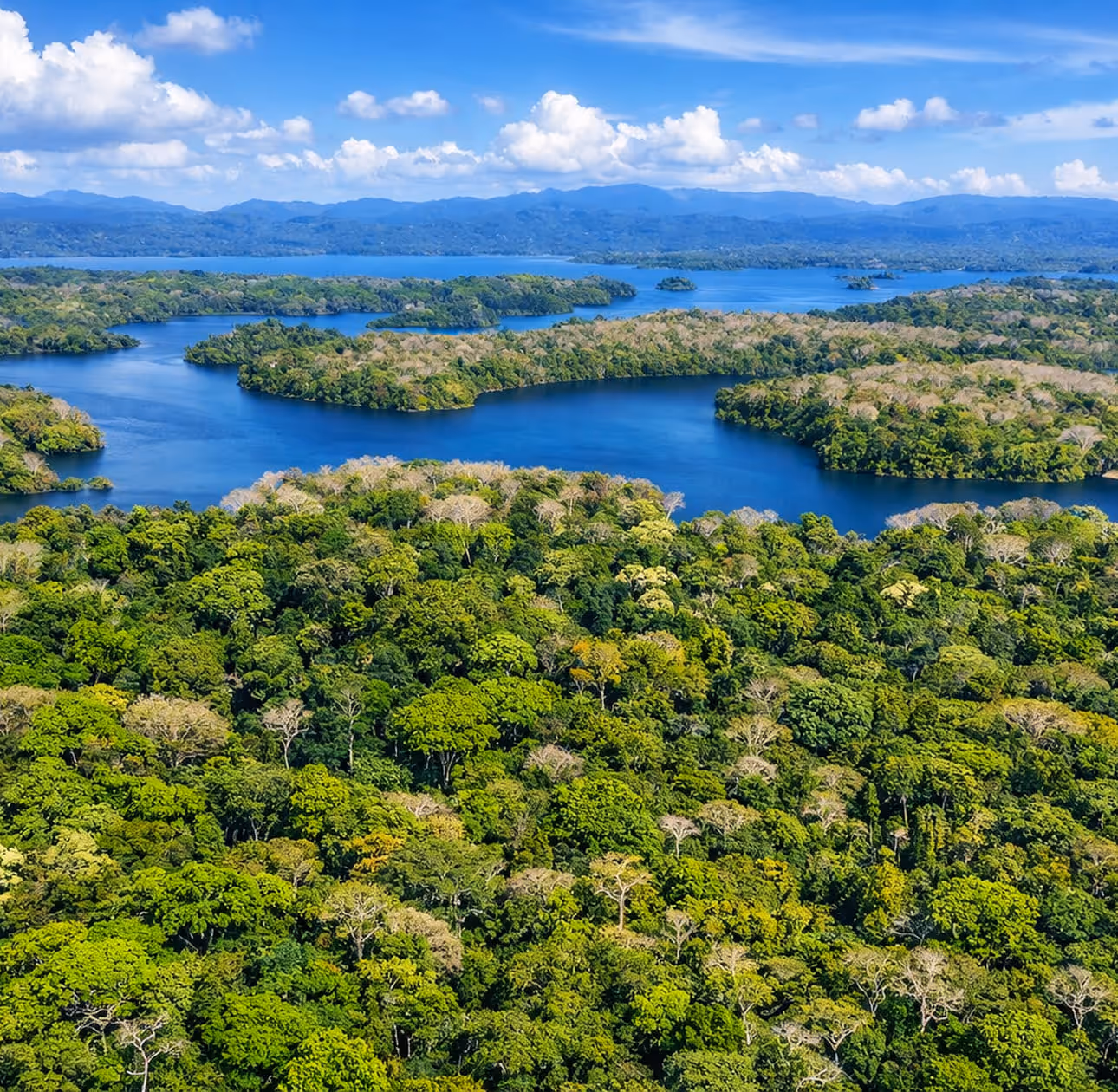 Regimen de Zona Franca Ley 32