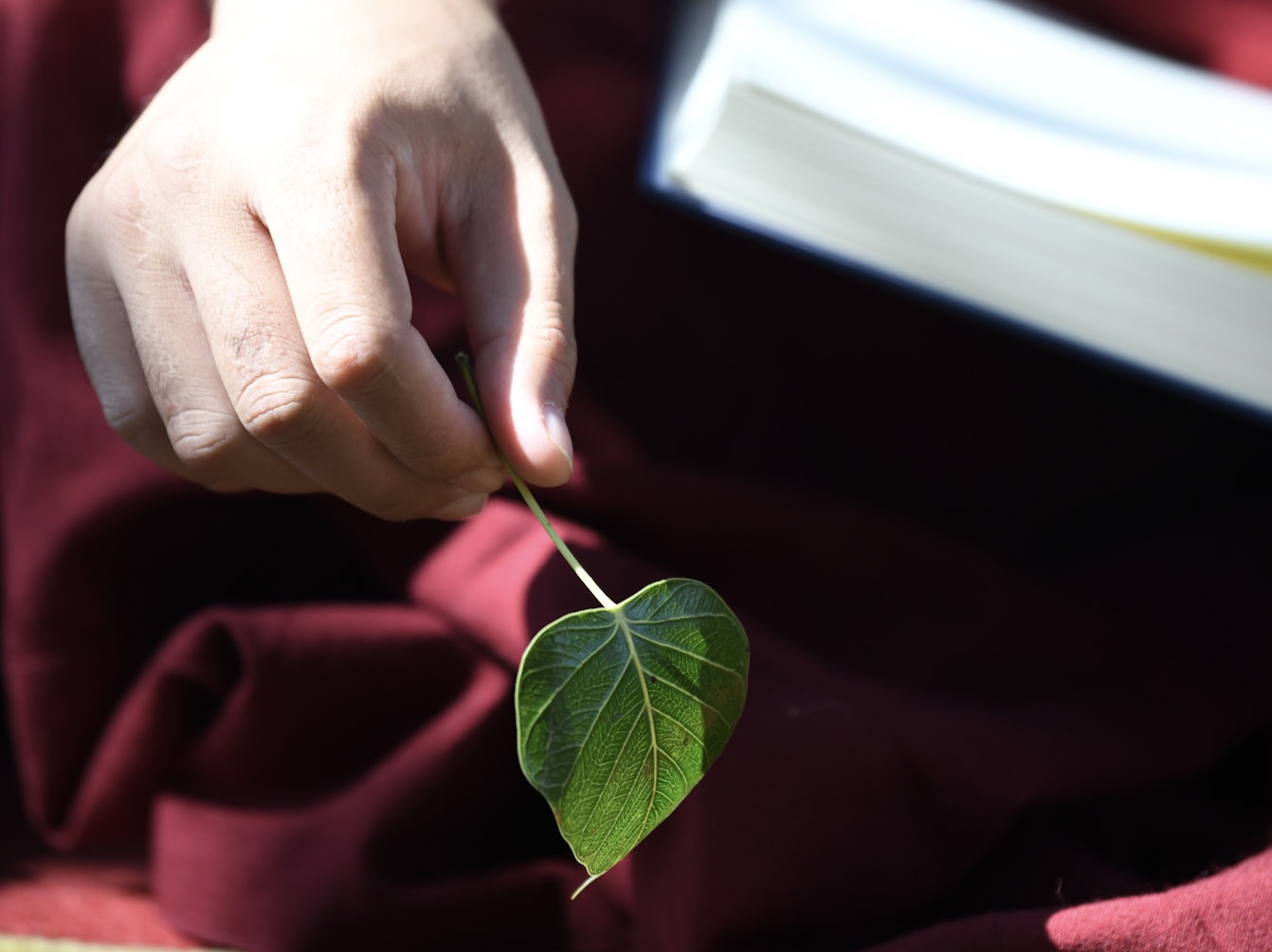 Long for What's Already Within: A Teaching on Recognizing the Naturally Pure Mind