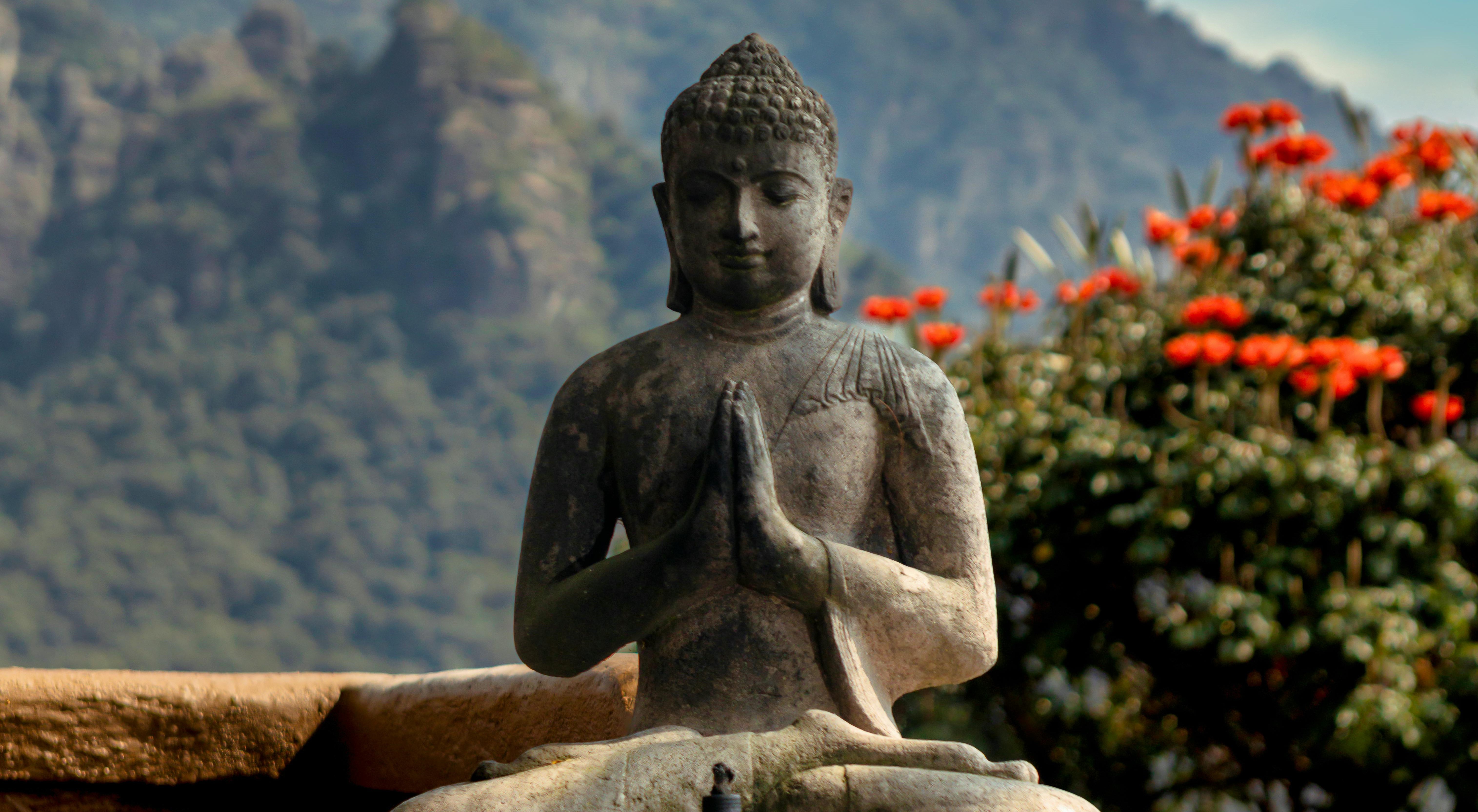 Setting Intentions: The Buddha's Instructions on Right Mindfulness