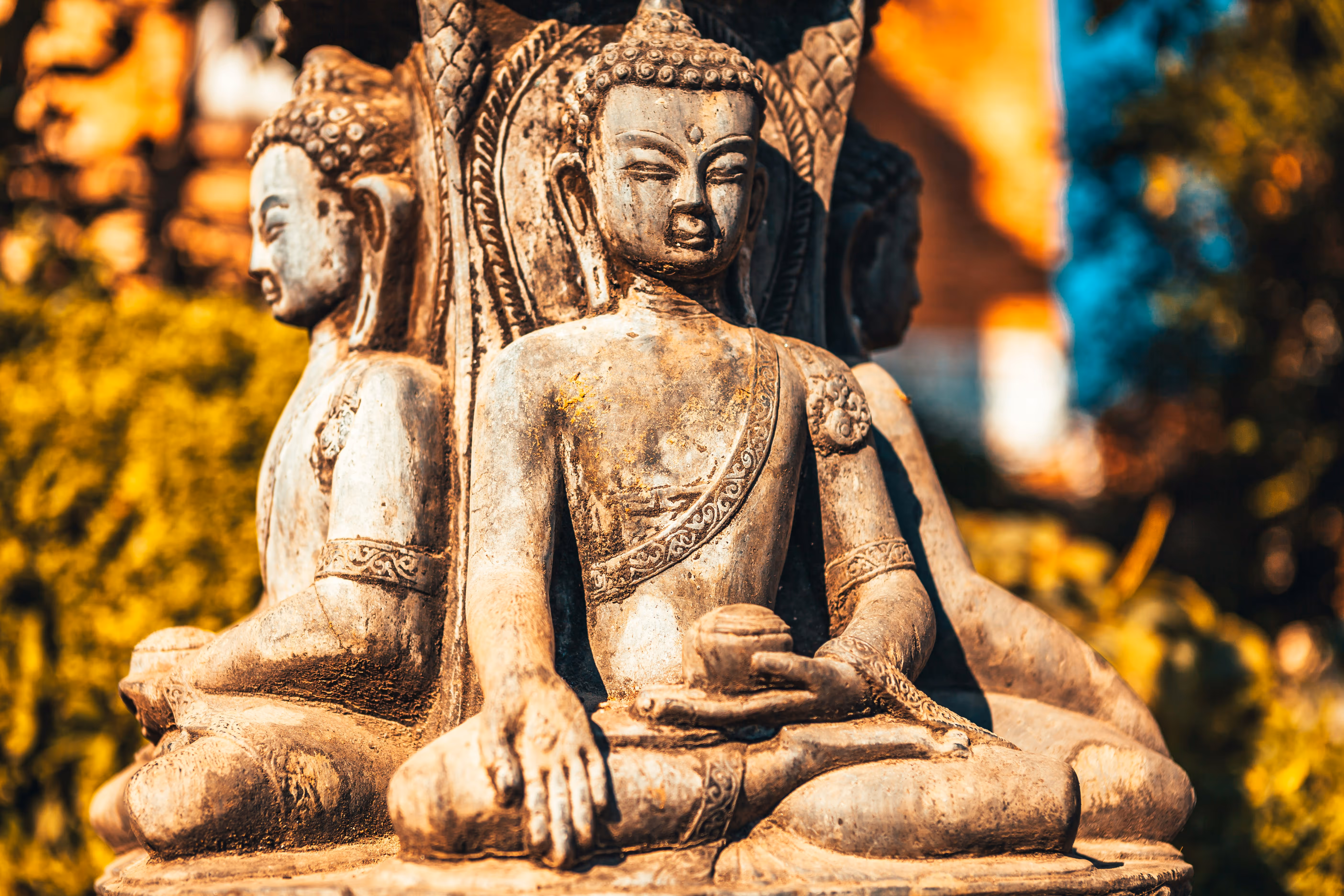 The Power of Buddha’s Speech: How the Buddha's Words Can Instantly Liberate the Mind