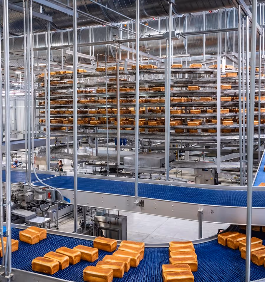 Automated bakery conveyor system transporting multiple rows of freshly baked bread loaves on blue belts in a modern industrial facility.