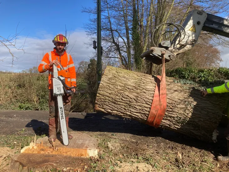 Jordan Cork | Rogers and Cork Tree Care