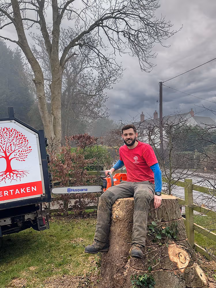 Stump treatment by Rogers and Cork Tree Care