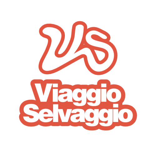 Logo con le lettere stilizzate 'VS' sopra il testo 'Viaggio Selvaggio' con contorno arancione.