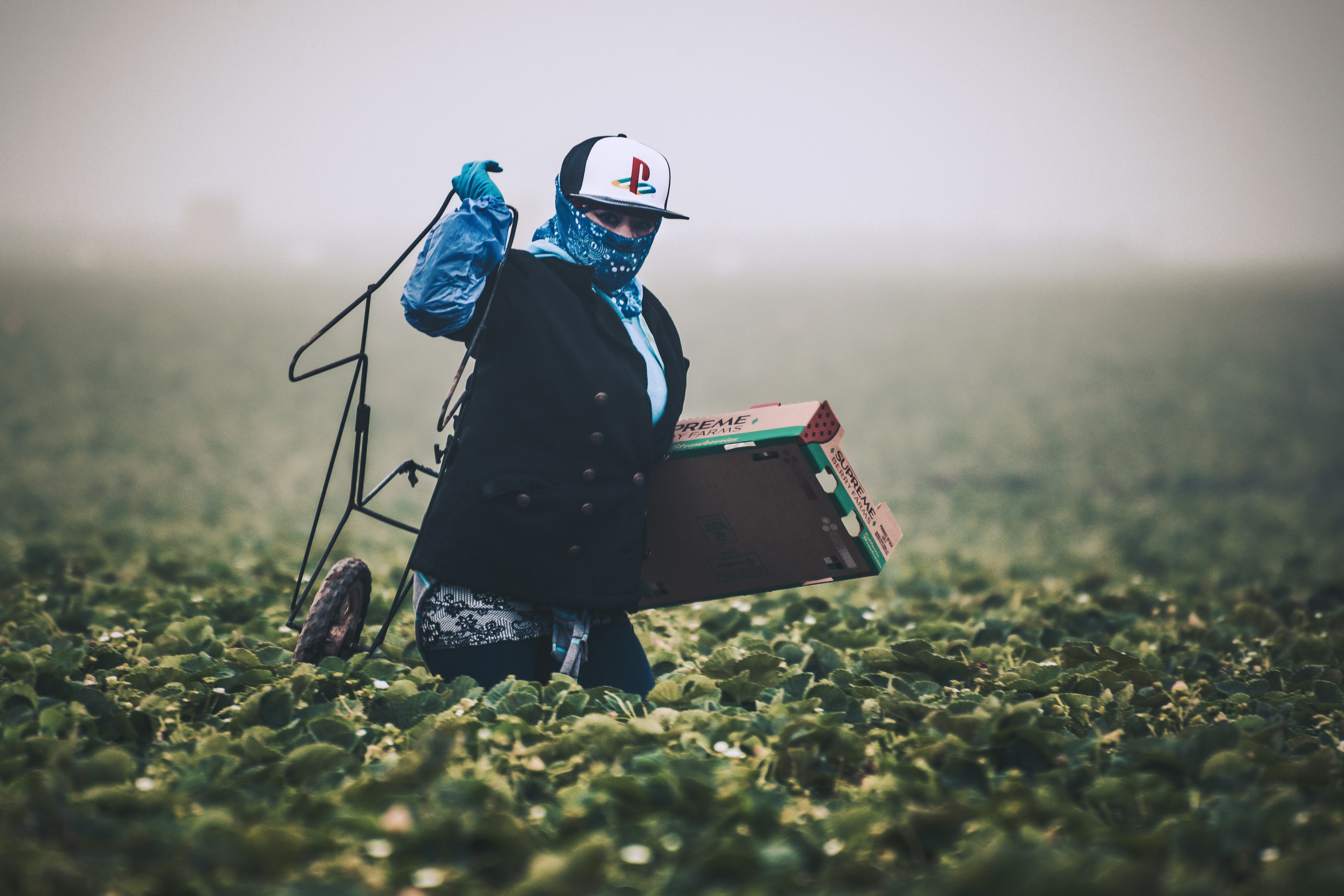 image of agricultural technology usage in a drone field