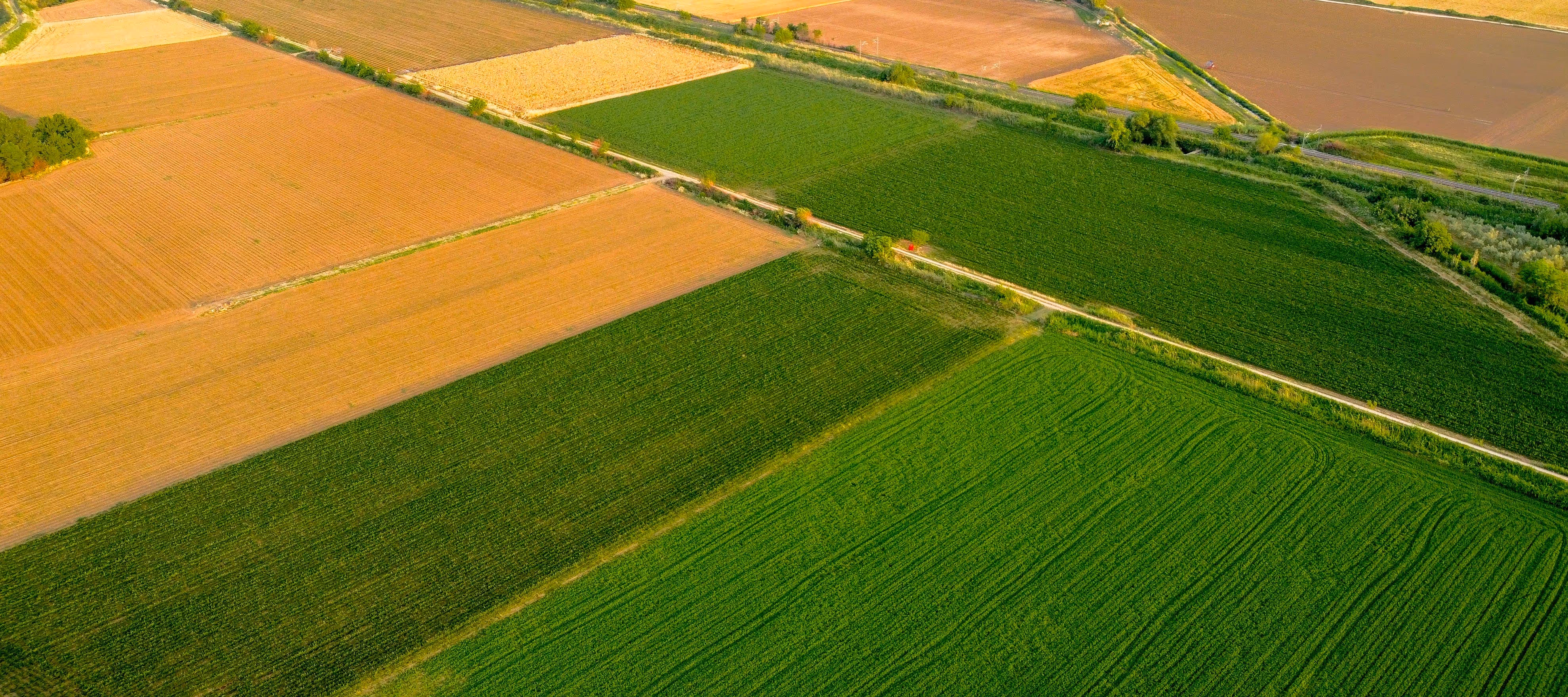 image of a school event