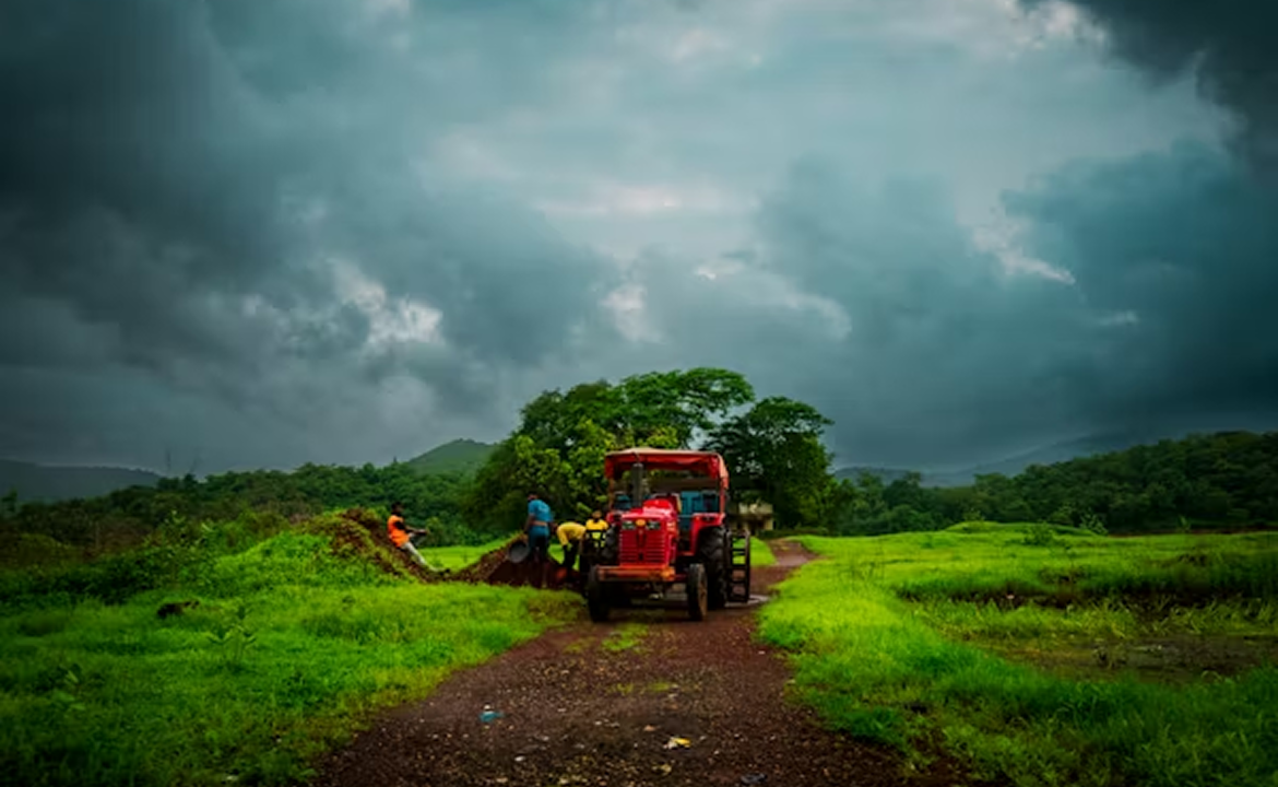 Rural road with trees