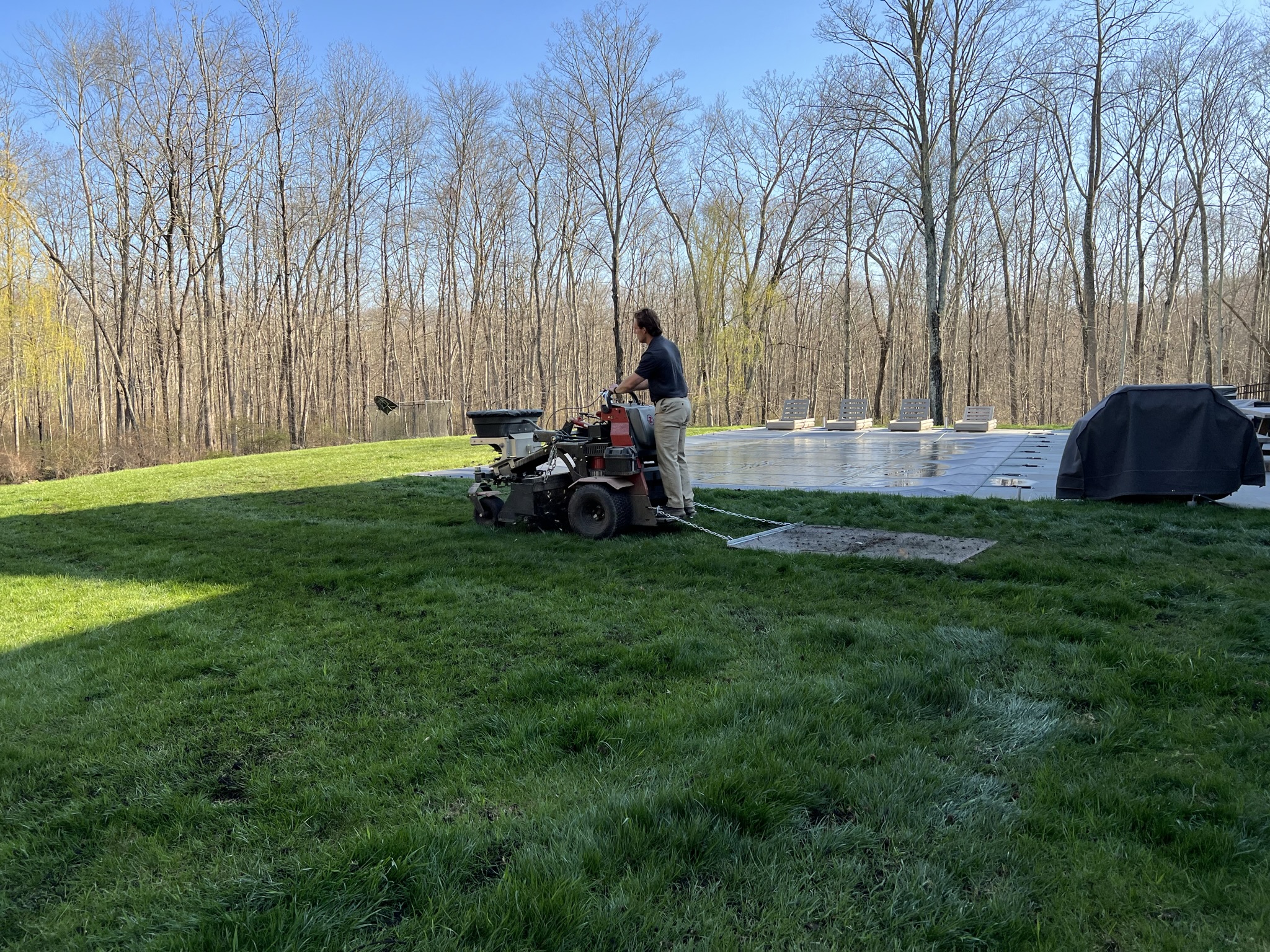 Lawn Disease Prevention and Treatment Strategies