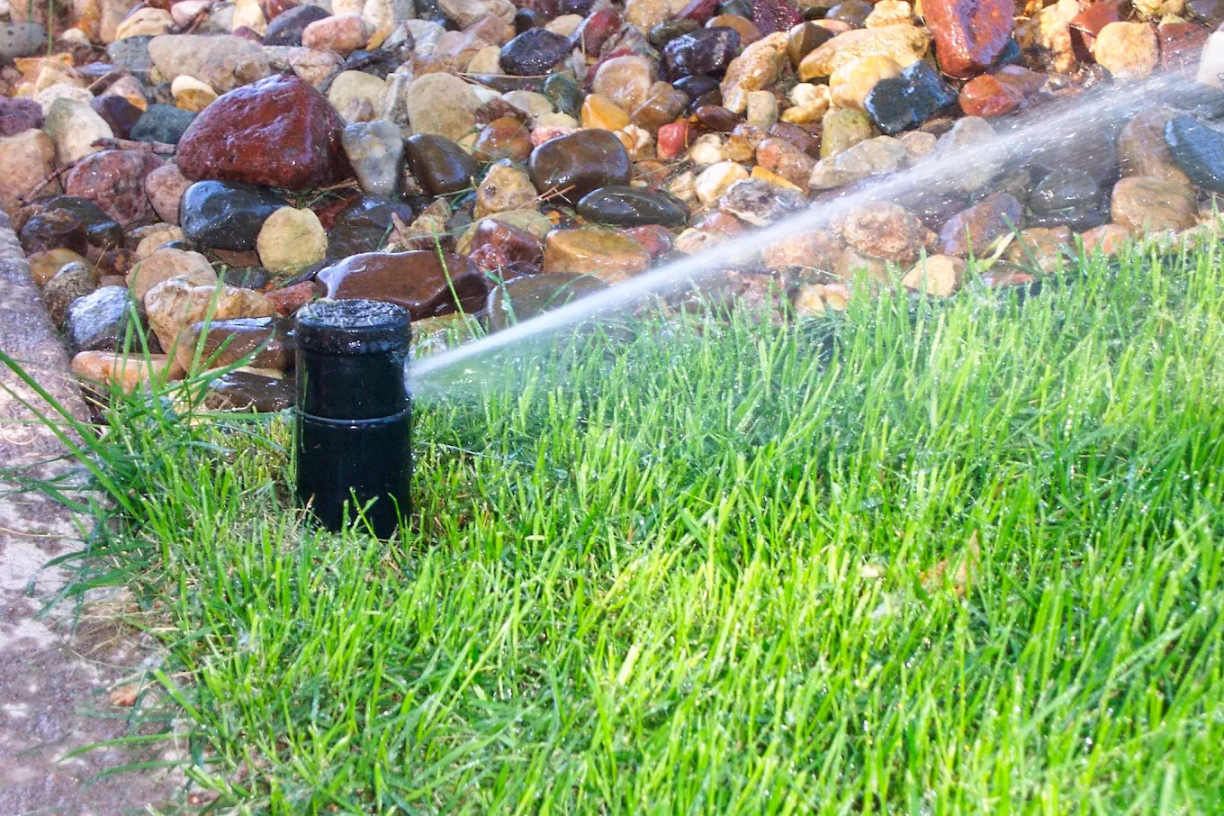 Drip Irrigation vs. Spray Systems: Choosing the Right Solution